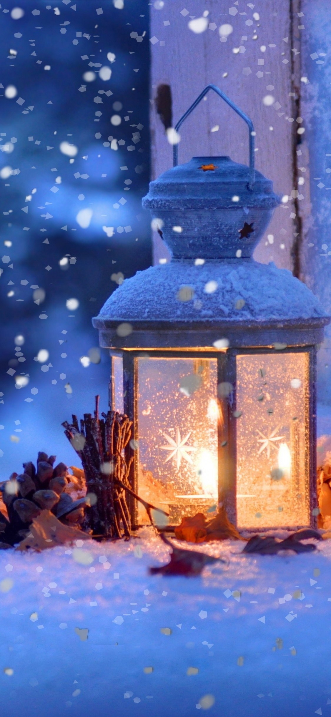 Snow, Winter, Blue, Light, Branch. Wallpaper in 1125x2436 Resolution