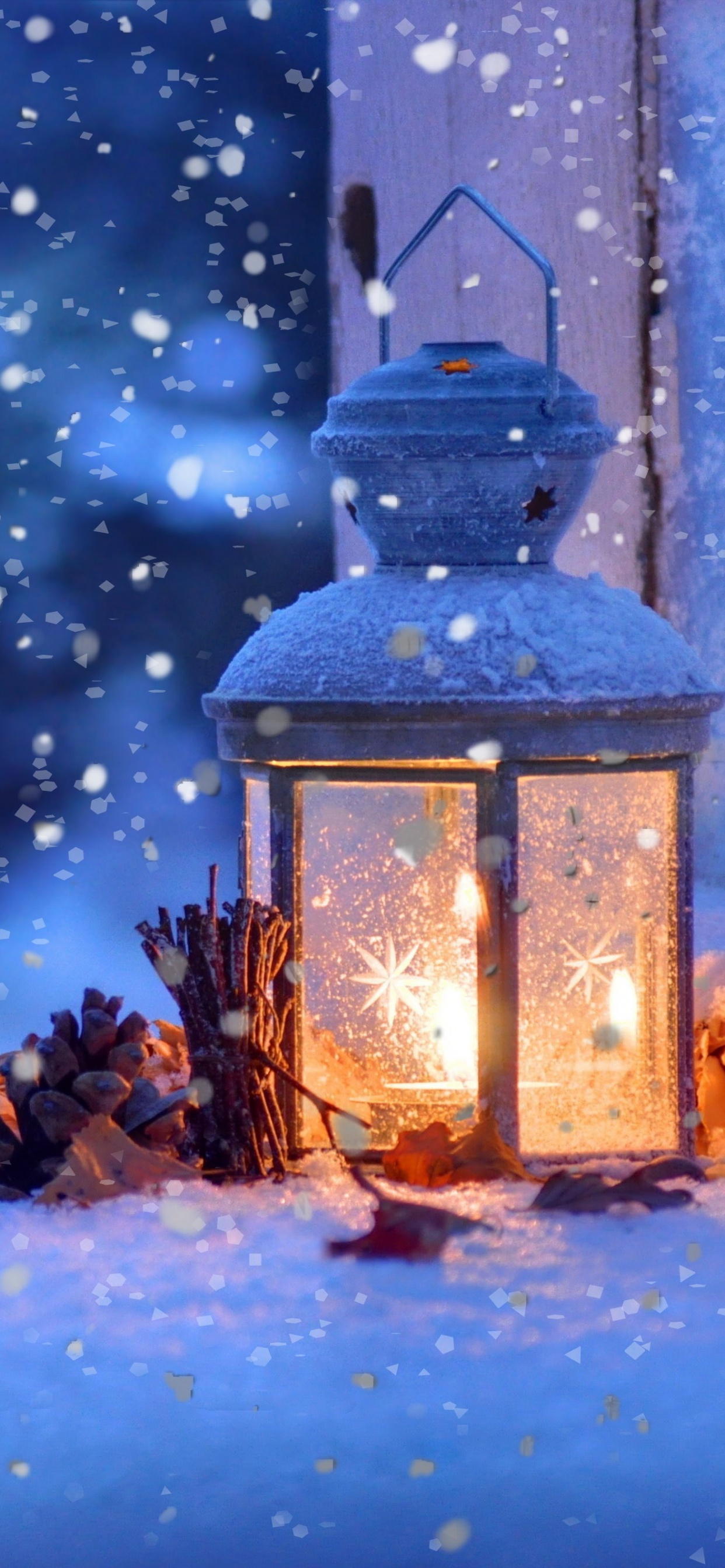 Snow, Winter, Blue, Light, Branch. Wallpaper in 1242x2688 Resolution