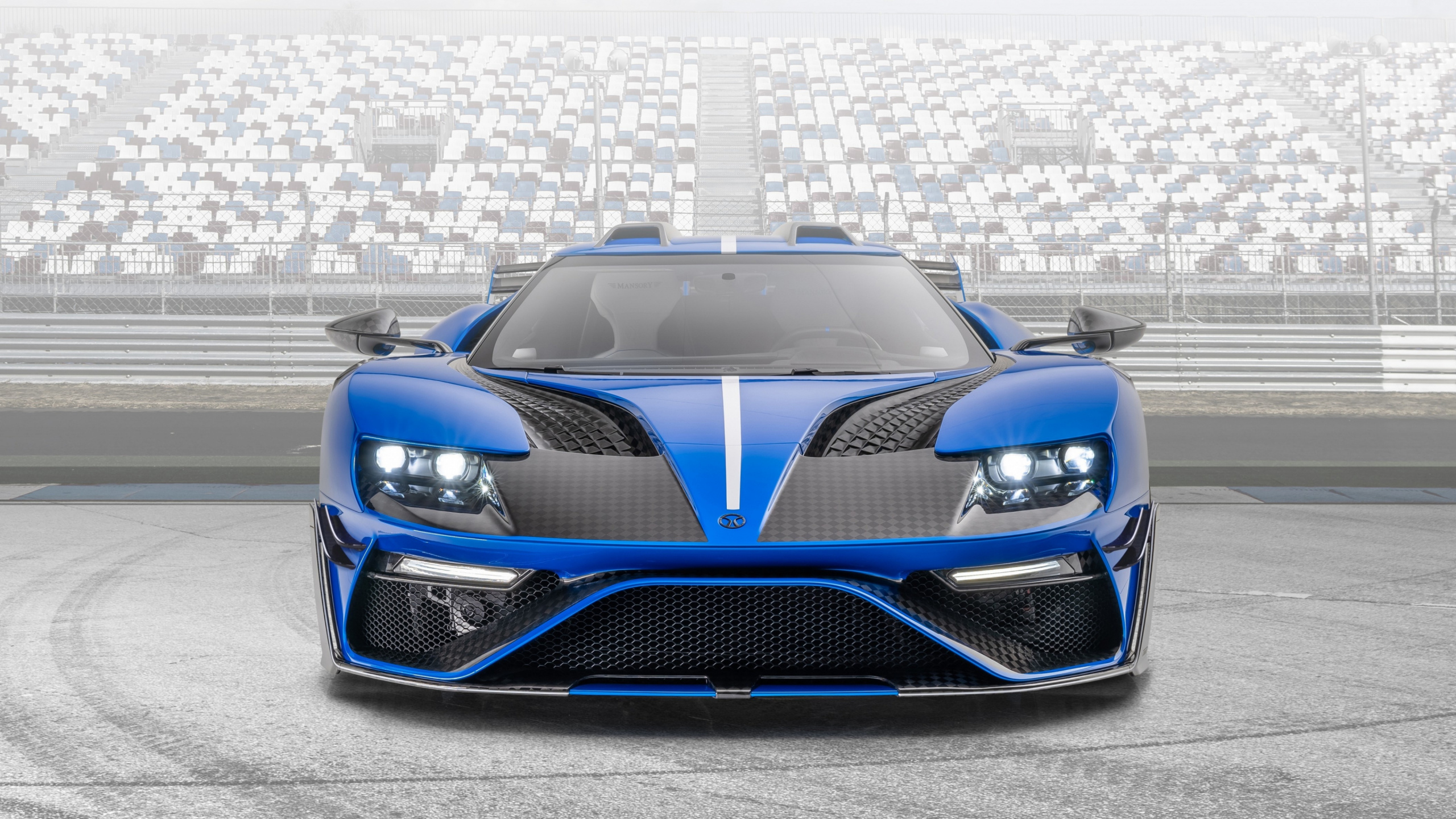 Ford gt le Mansory, Ford Gt, Deportivo, Ford Gt40, Coche. Wallpaper in 2560x1440 Resolution