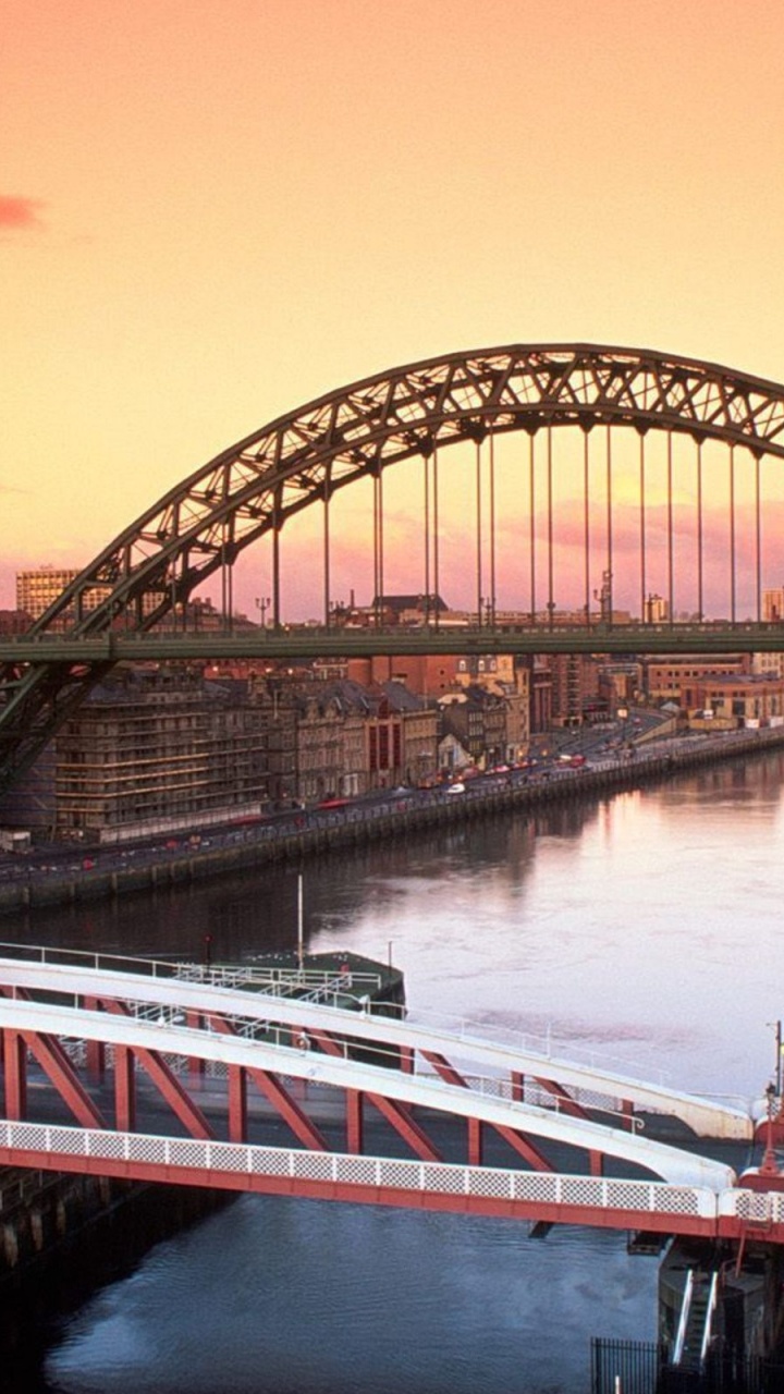White and Red Boat on Body of Water Under Bridge During Daytime. Wallpaper in 720x1280 Resolution