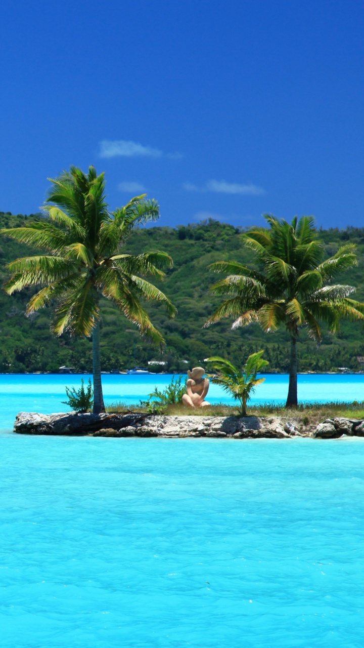 Green Trees on Island During Daytime. Wallpaper in 720x1280 Resolution