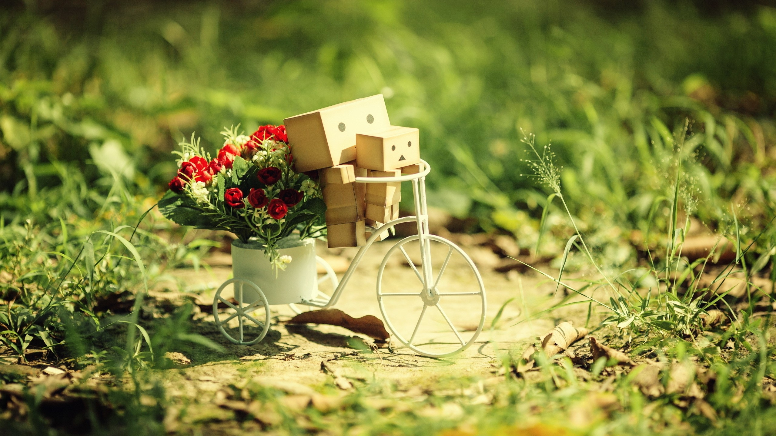 Miniature de Maison en Bois Blanc Sur Table en Bois Marron. Wallpaper in 2560x1440 Resolution