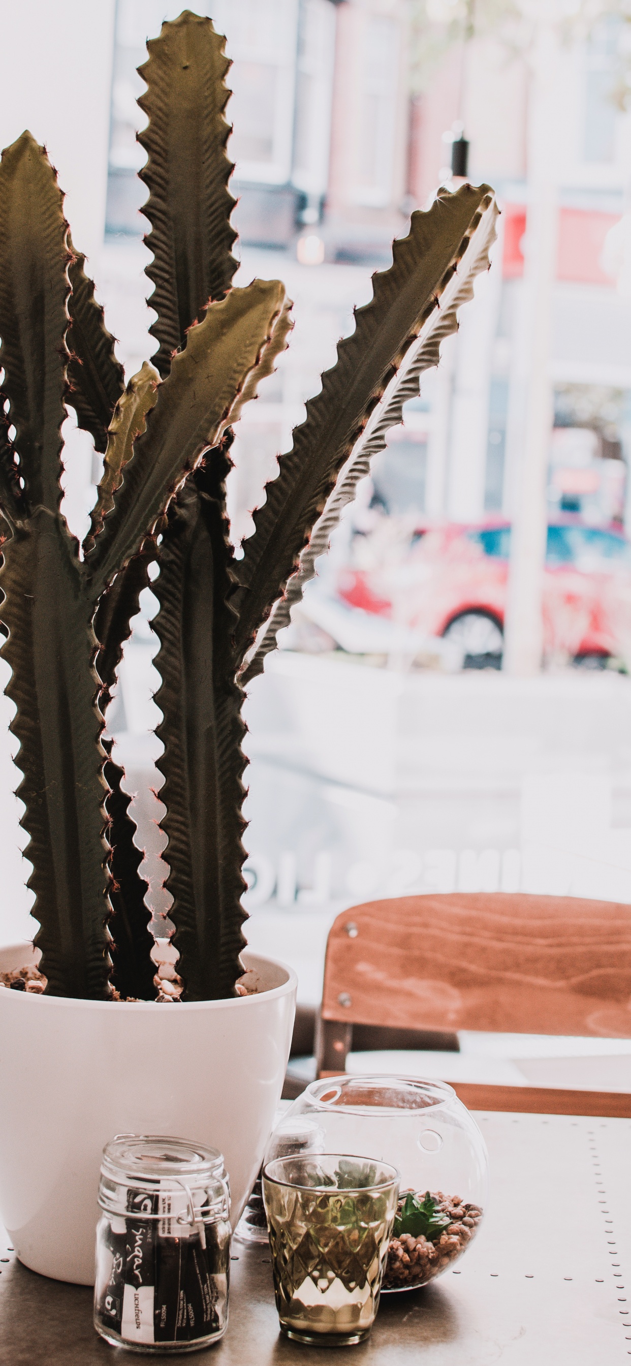 Cactus Vert Dans un Pot en Céramique Blanche. Wallpaper in 1242x2688 Resolution