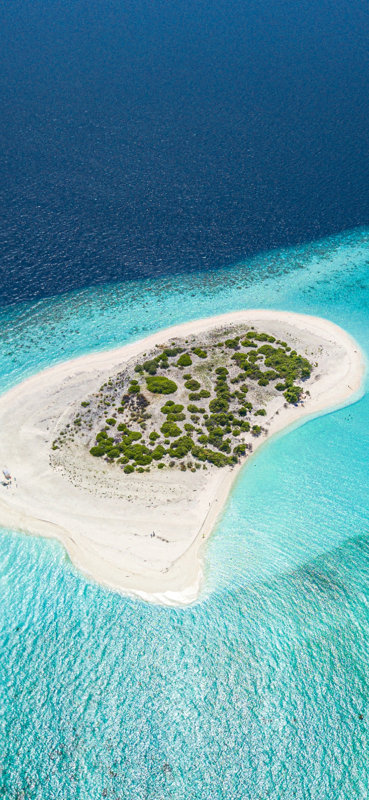 Coastal and Oceanic Landforms, Island, Atoll, Islet, Archipelago. Wallpaper in 1242x2688 Resolution