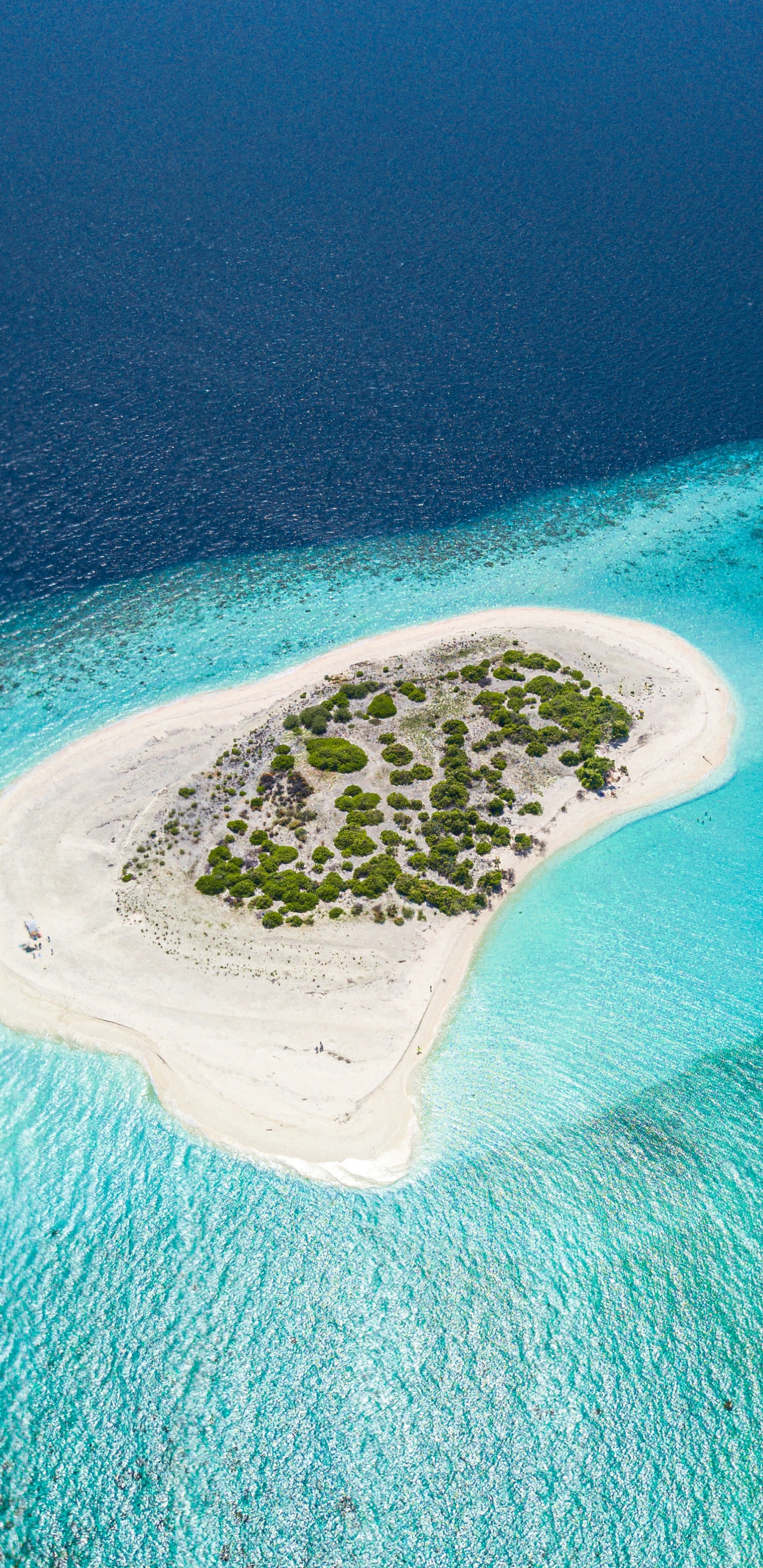 Coastal and Oceanic Landforms, Island, Atoll, Islet, Archipelago. Wallpaper in 1440x2960 Resolution