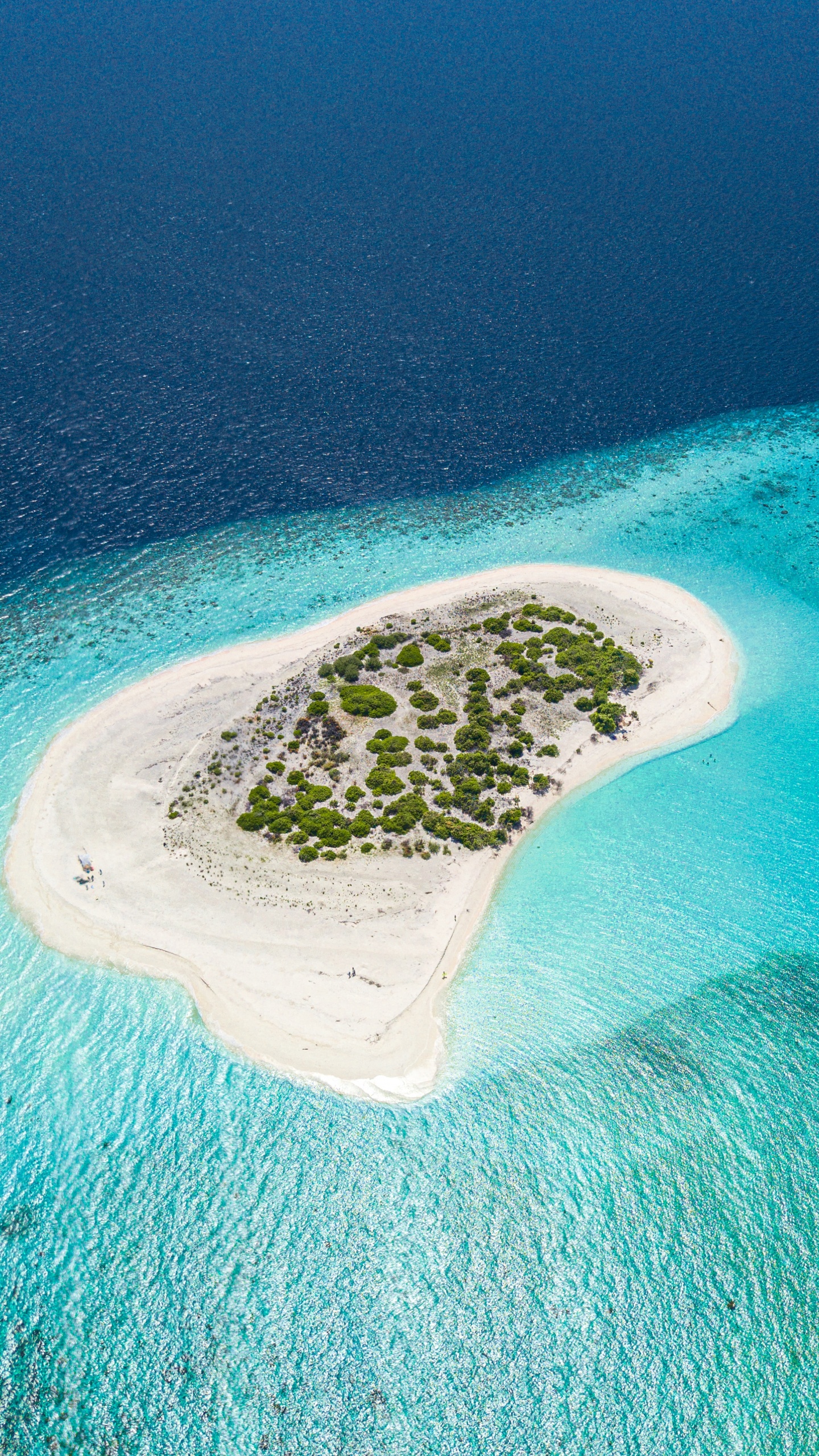 Küsten-und Ozeanischen Formationen, Insel, Atoll, Inselchen, Archipel. Wallpaper in 1440x2560 Resolution