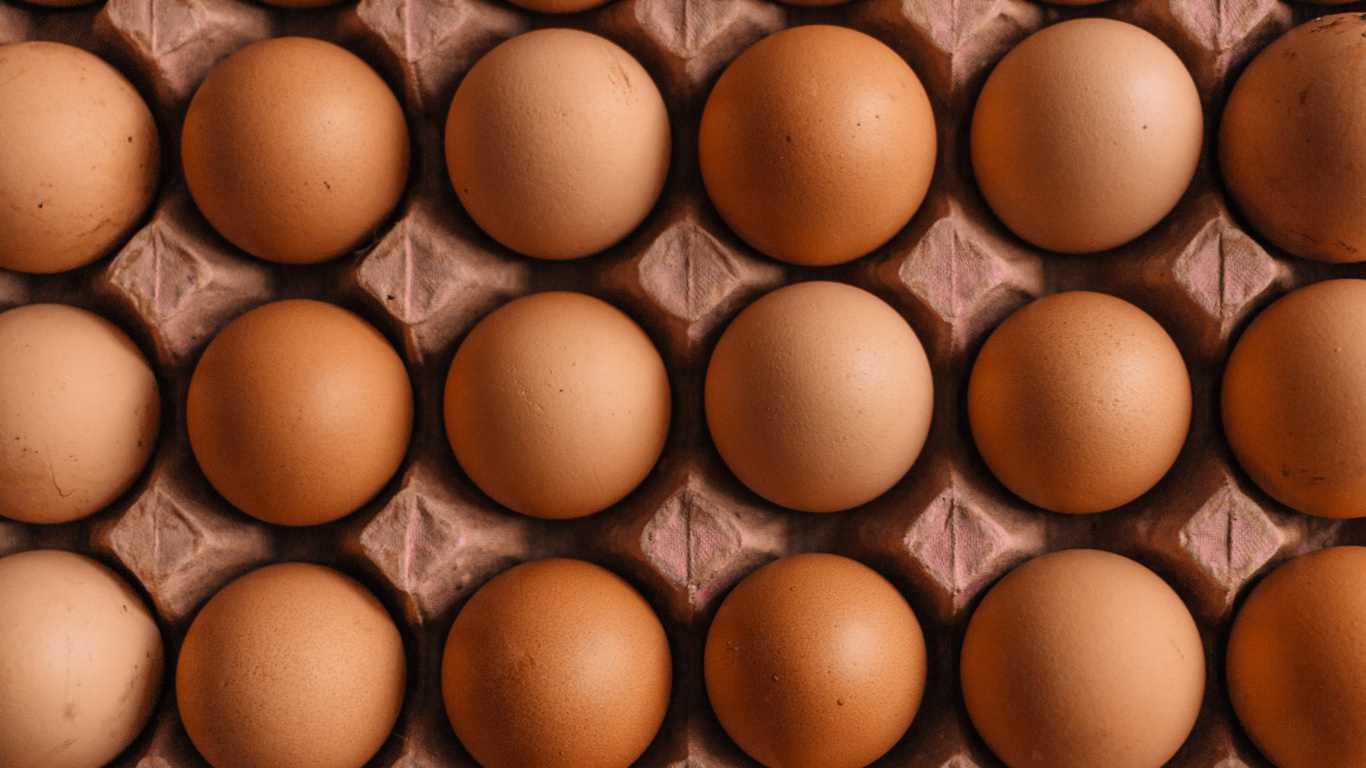 Brown Egg Tray on Brown Wooden Table. Wallpaper in 1366x768 Resolution