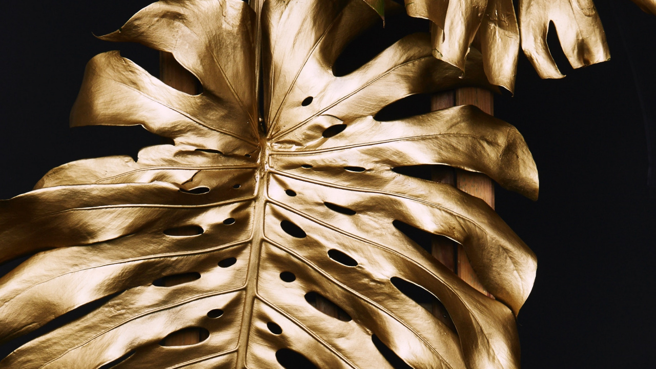 Brown Wooden Stick With White Feather. Wallpaper in 1280x720 Resolution