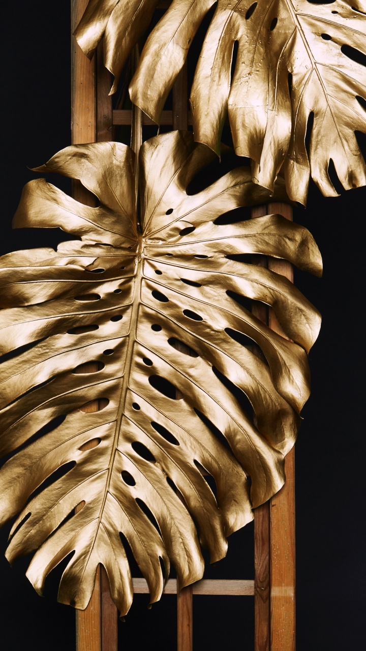 Bâton en Bois Marron Avec Plume Blanche. Wallpaper in 720x1280 Resolution