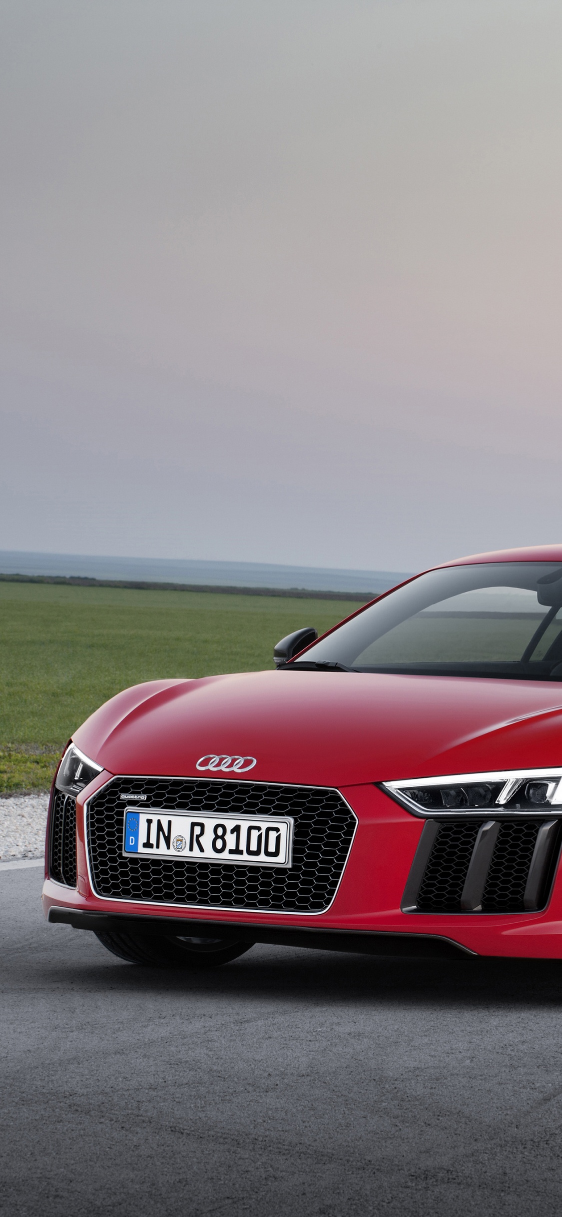 奥迪, 奥迪r8, 奥迪quattro, V10引擎, 性能车 壁纸 1125x2436 允许