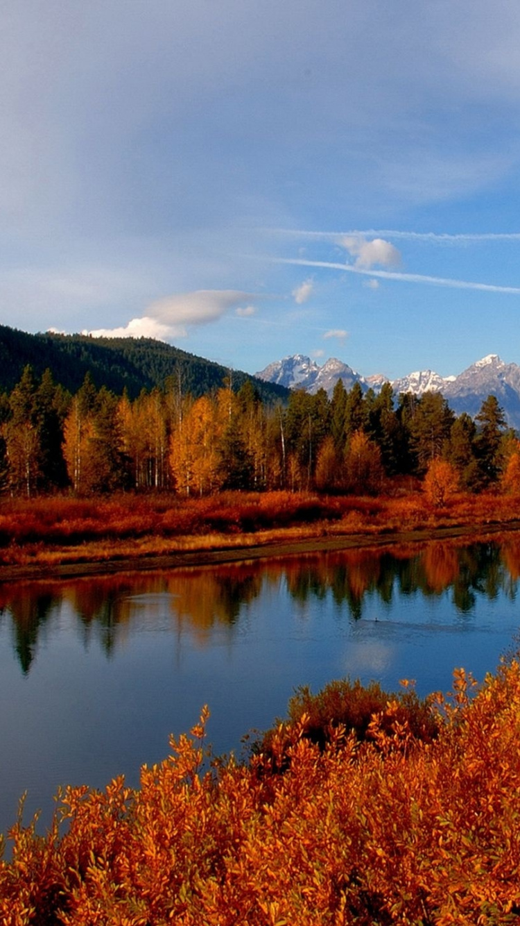 Braune Und Grüne Bäume in Der Nähe Des Sees Unter Blauem Himmel Tagsüber. Wallpaper in 750x1334 Resolution