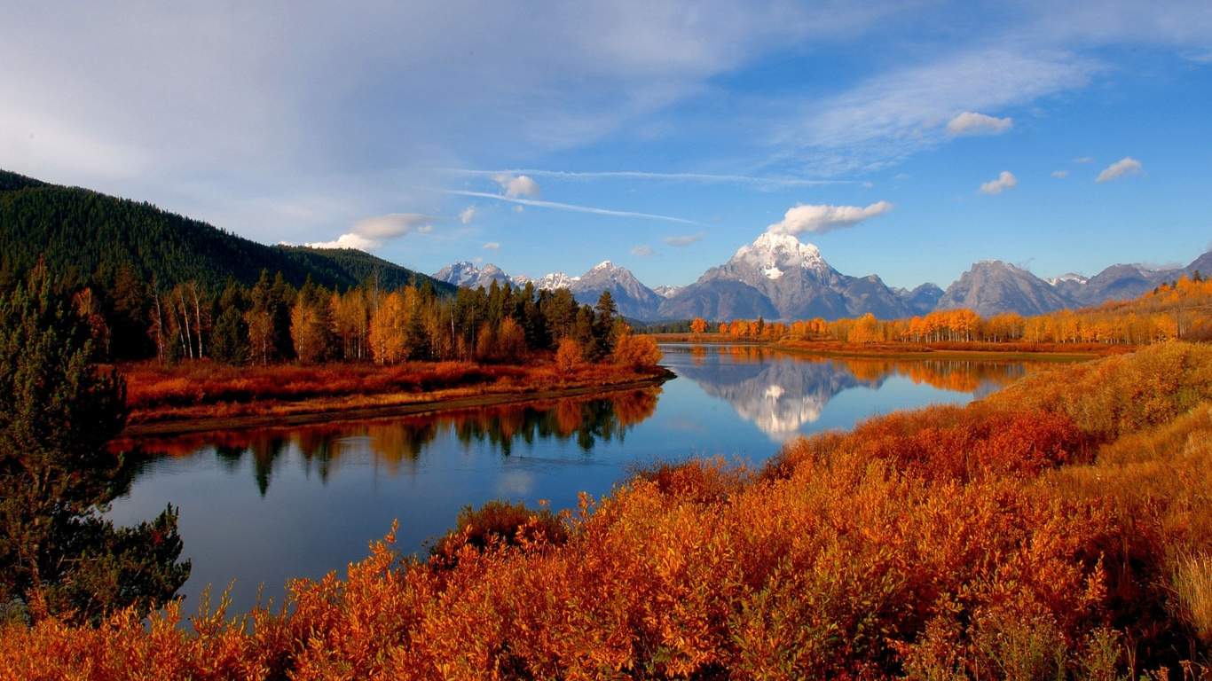 Brown and Green Trees Near Lake Under Blue Sky During Daytime. Wallpaper in 1366x768 Resolution