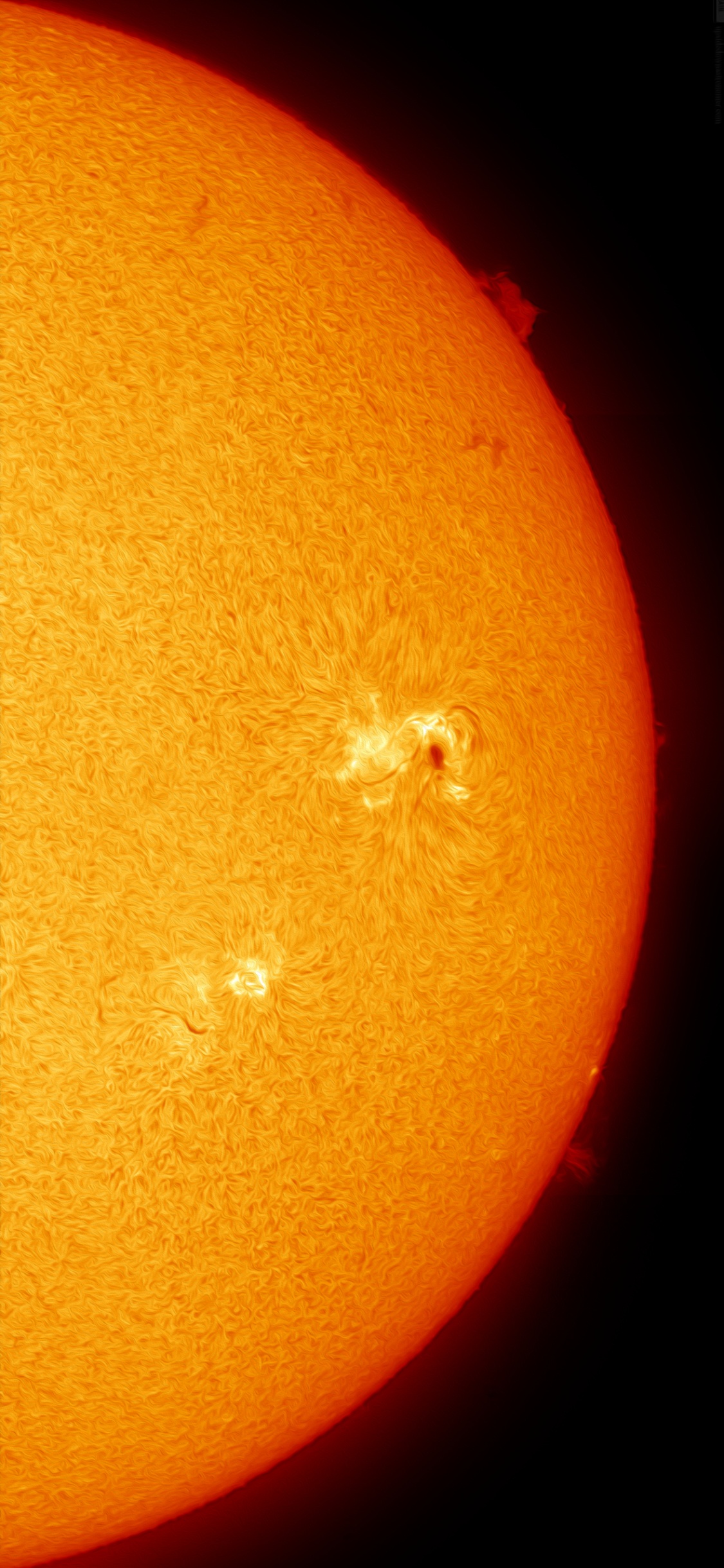 Rangpur, Ambar, Naranja, Objeto Astronómico, Sol. Wallpaper in 1125x2436 Resolution