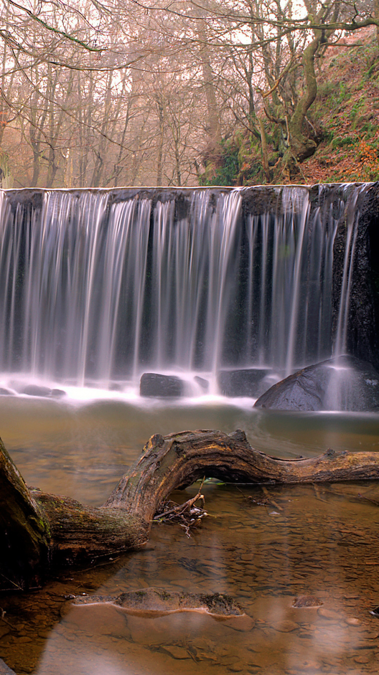 Tronc D'arbre Brun Près Des Cascades Pendant la Journée. Wallpaper in 750x1334 Resolution