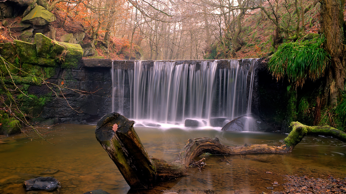 Brown Tree Trunk Near Waterfalls During Daytime. Wallpaper in 1366x768 Resolution