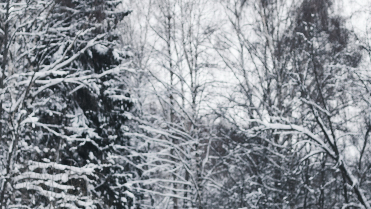 Mercedes Benz, Coche, Deportivo, Amg Gt, Mercedes Benz Clase c. Wallpaper in 1280x720 Resolution