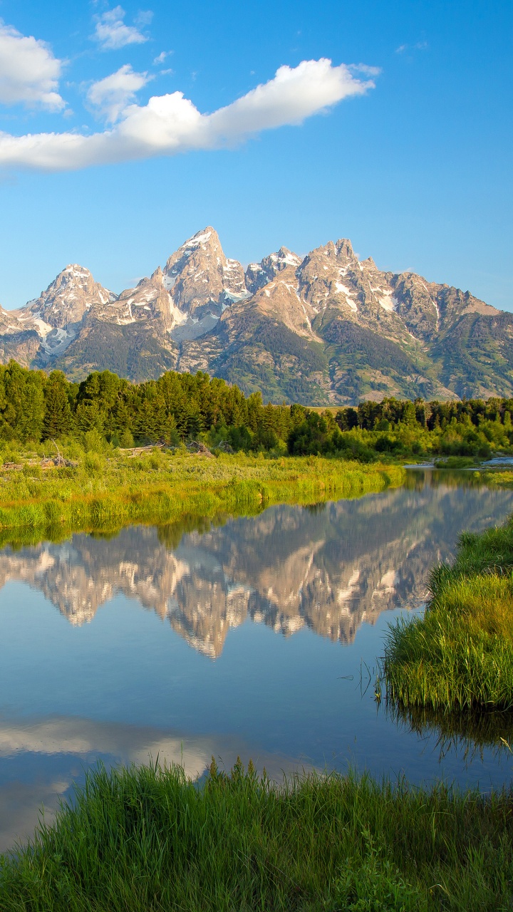 Arbres Verts Près du Lac Sous Ciel Bleu Pendant la Journée. Wallpaper in 720x1280 Resolution