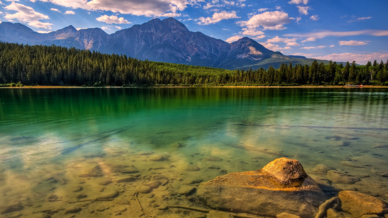 Green Trees Near Lake During Daytime. Wallpaper in 1280x720 Resolution