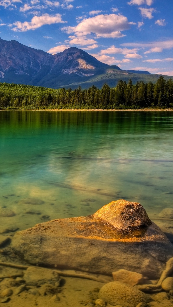 Green Trees Near Lake During Daytime. Wallpaper in 720x1280 Resolution