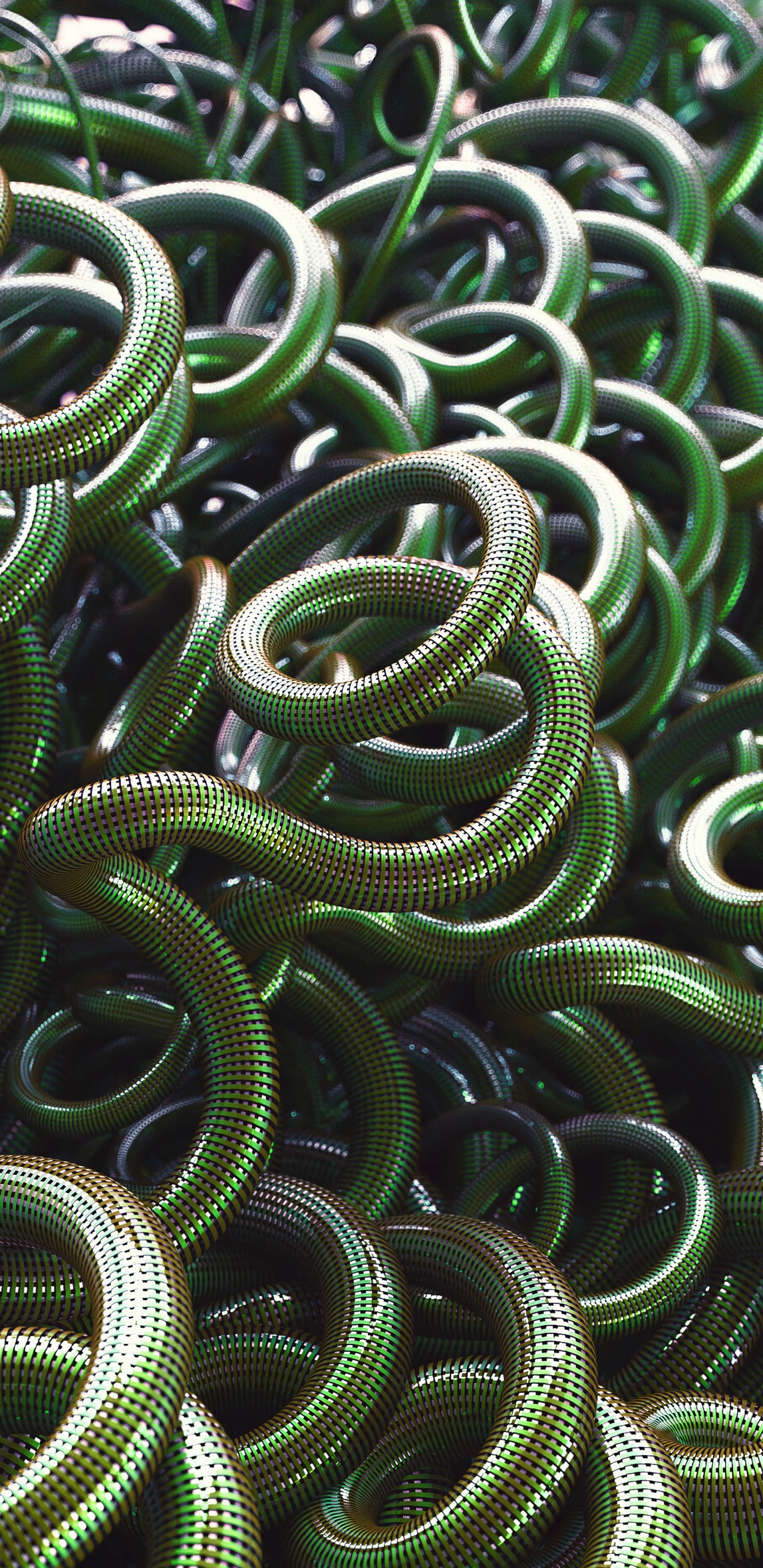 Green and Black Snake Skin. Wallpaper in 1440x2960 Resolution