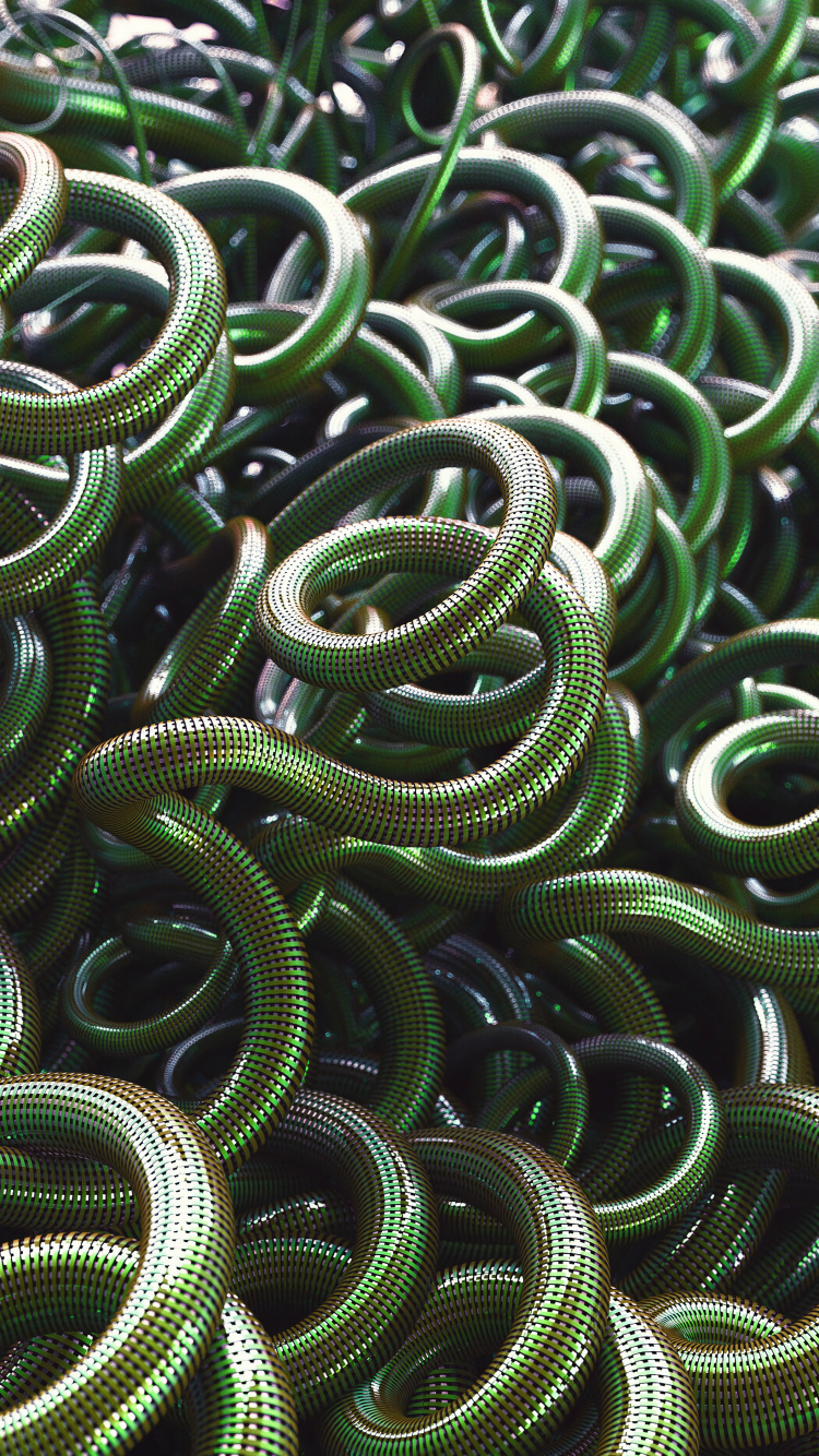 Piel de Serpiente Verde y Negra. Wallpaper in 750x1334 Resolution