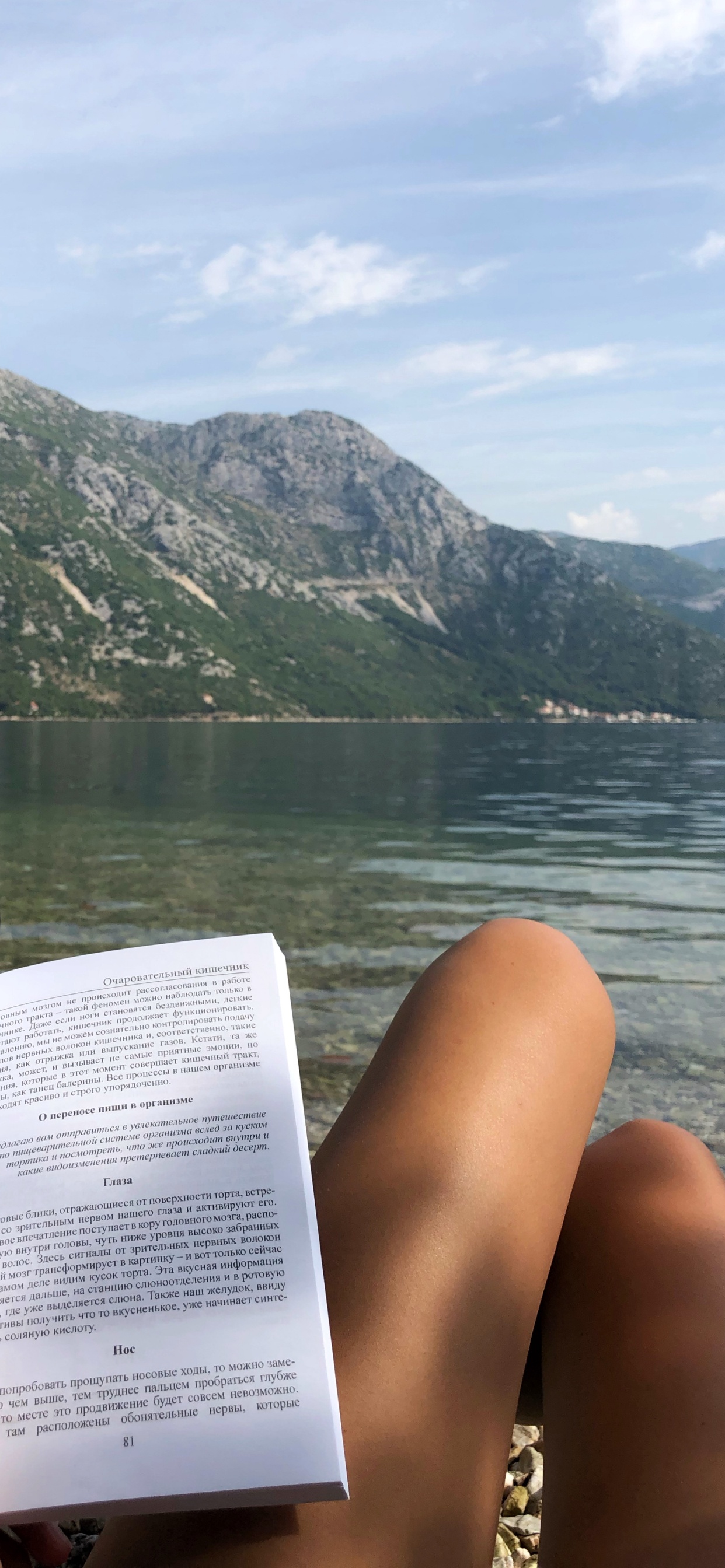 Vacation, Travel, Fjord, Water Resources, Tourism. Wallpaper in 1242x2688 Resolution