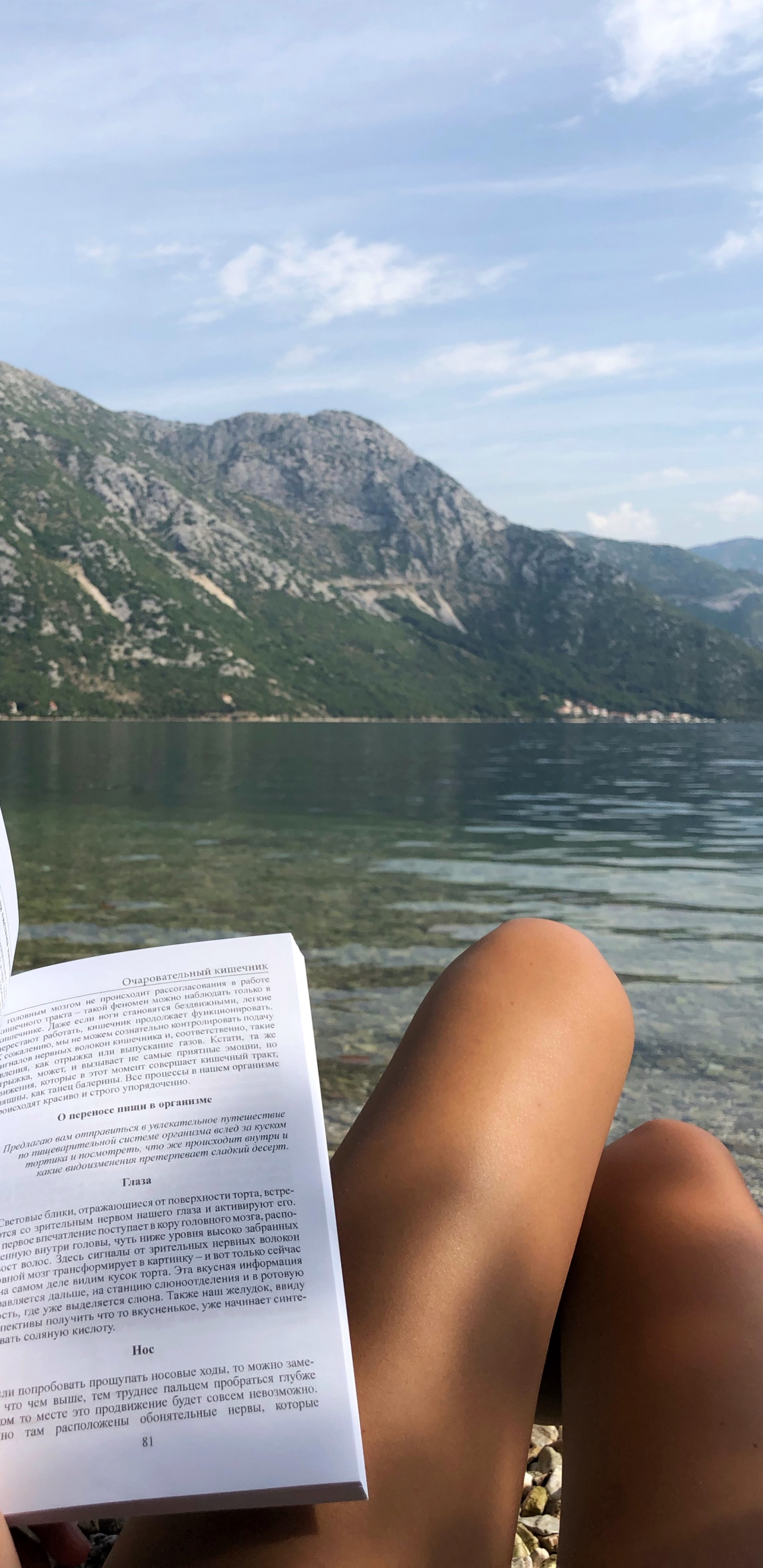 Vacation, Travel, Fjord, Water Resources, Tourism. Wallpaper in 1440x2960 Resolution