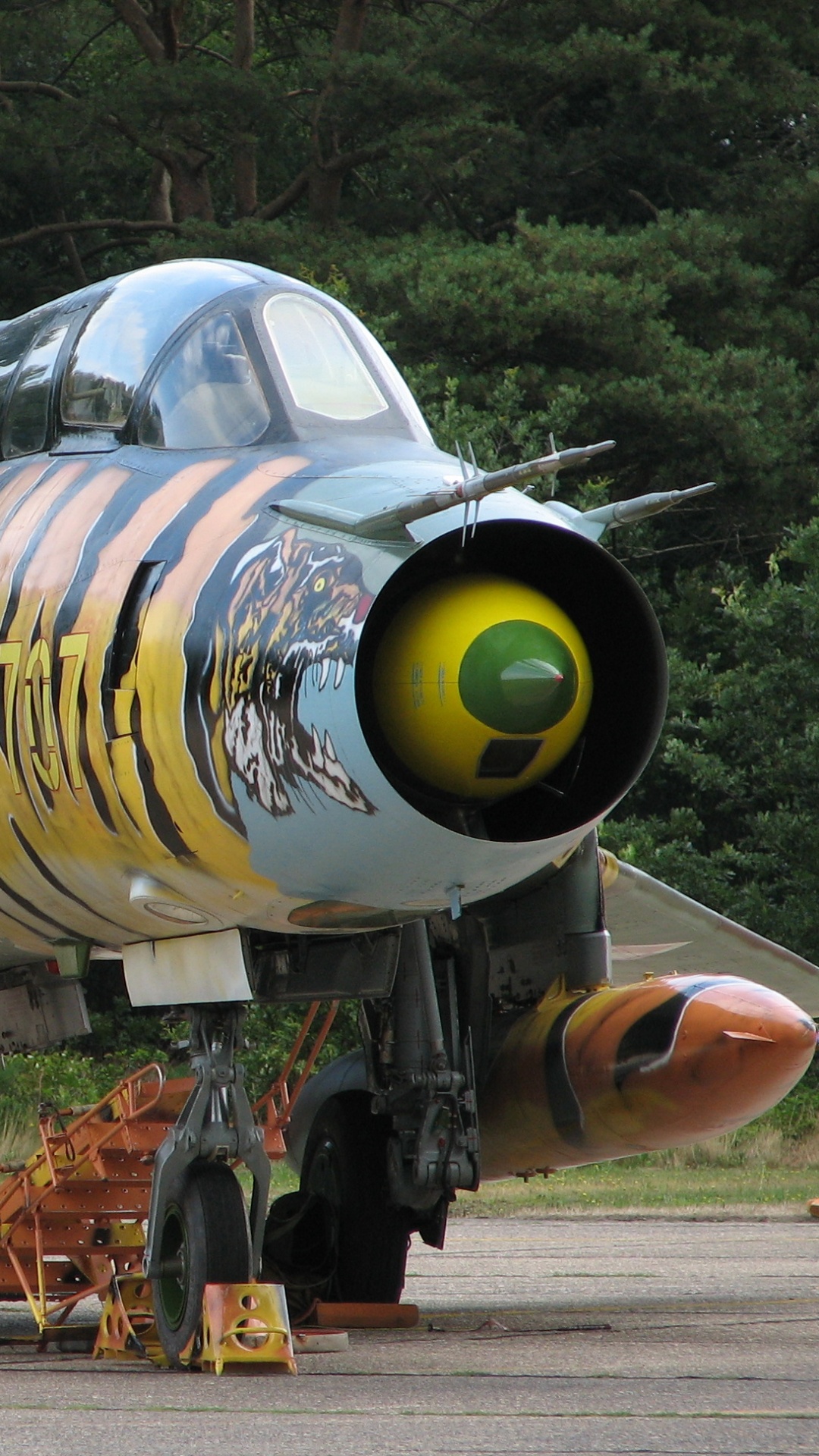 People Walking Near Green and Yellow Fighter Plane During Daytime. Wallpaper in 1080x1920 Resolution