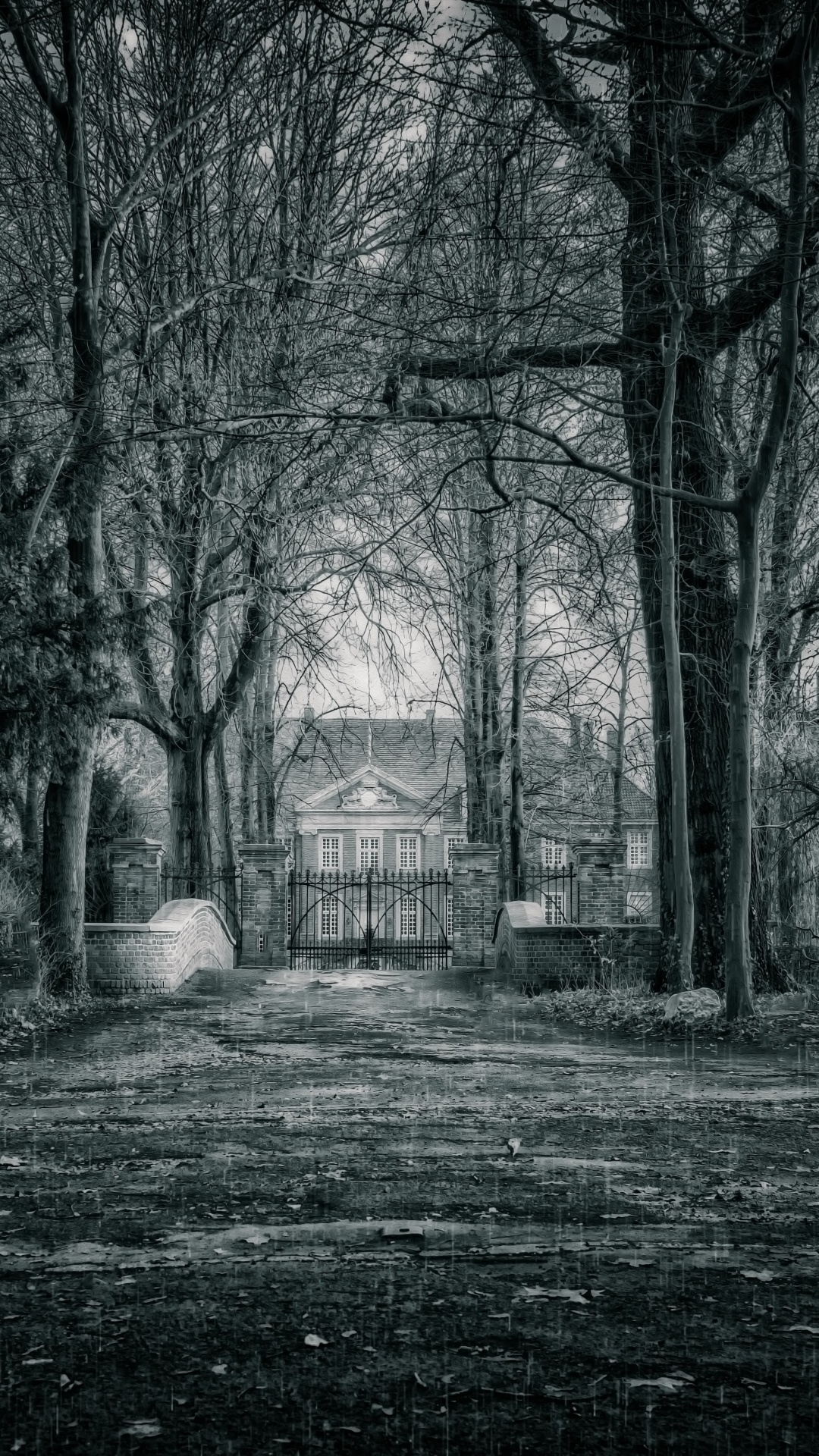 Graustufenfoto Von Bäumen Und Haus. Wallpaper in 1080x1920 Resolution