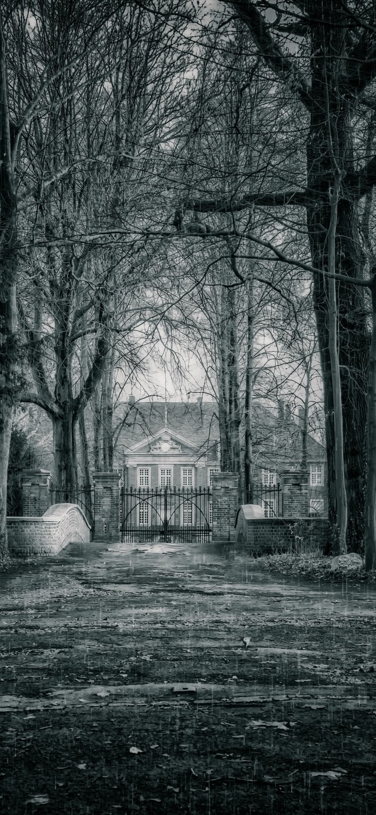 Graustufenfoto Von Bäumen Und Haus. Wallpaper in 1242x2688 Resolution