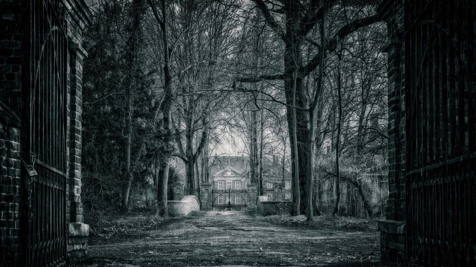 Photo en Niveaux de Gris D'arbres et de Maison. Wallpaper in 1920x1080 Resolution