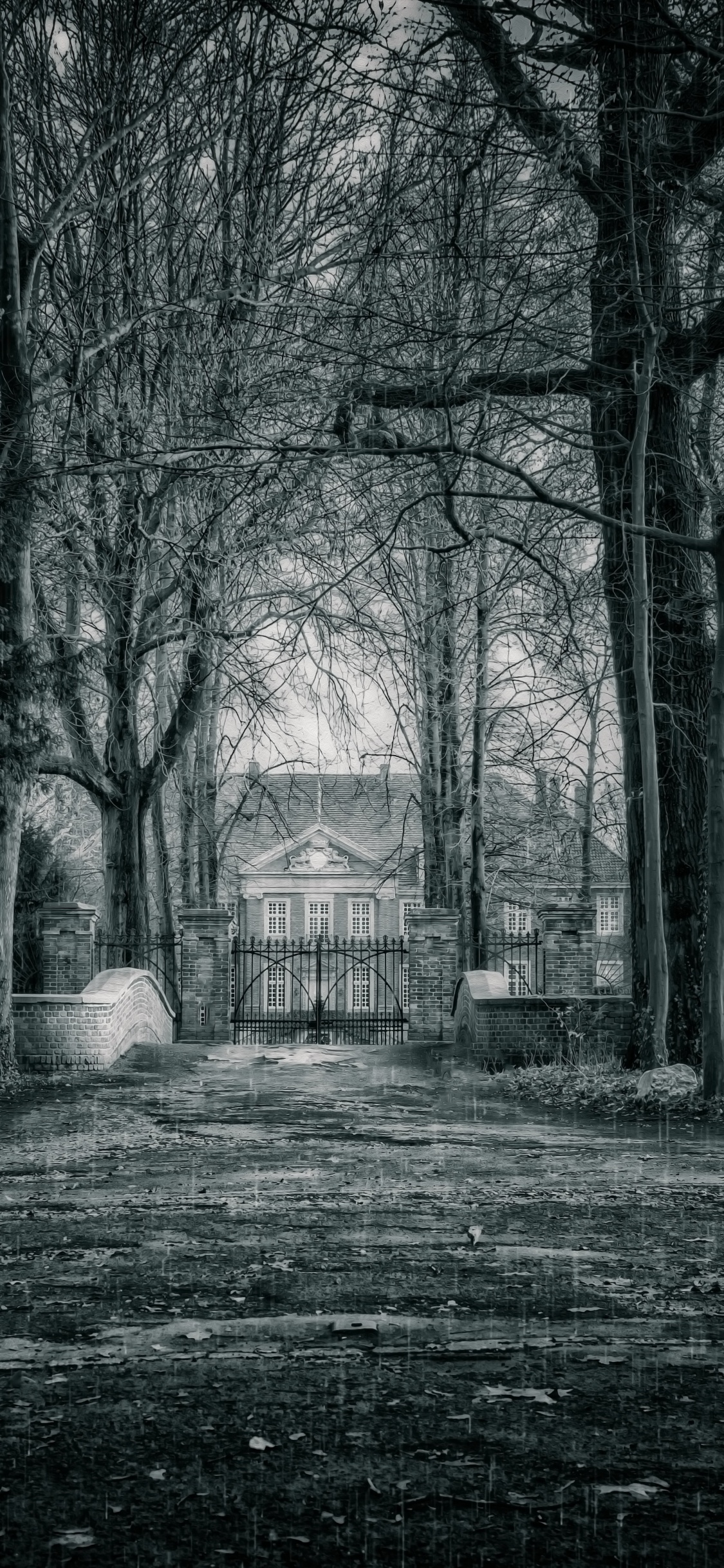 Grayscale Photo of Trees and House. Wallpaper in 1125x2436 Resolution