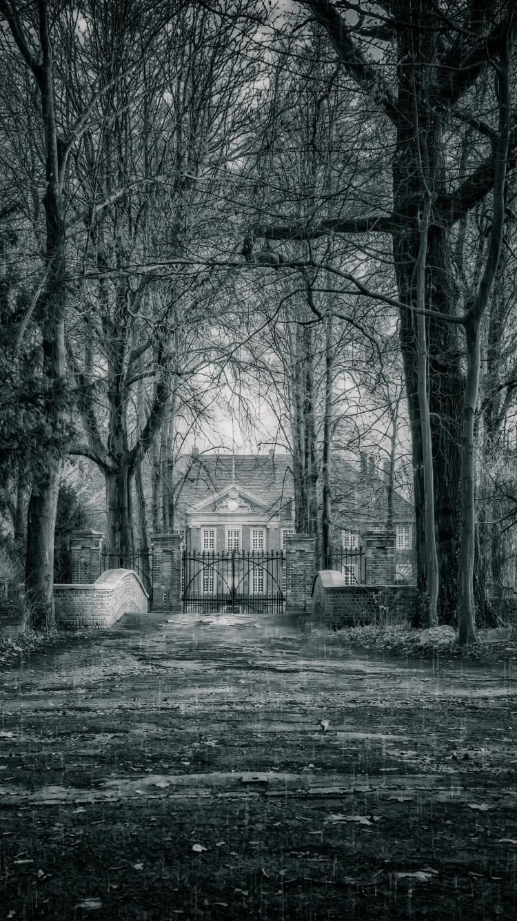 Grayscale Photo of Trees and House. Wallpaper in 750x1334 Resolution