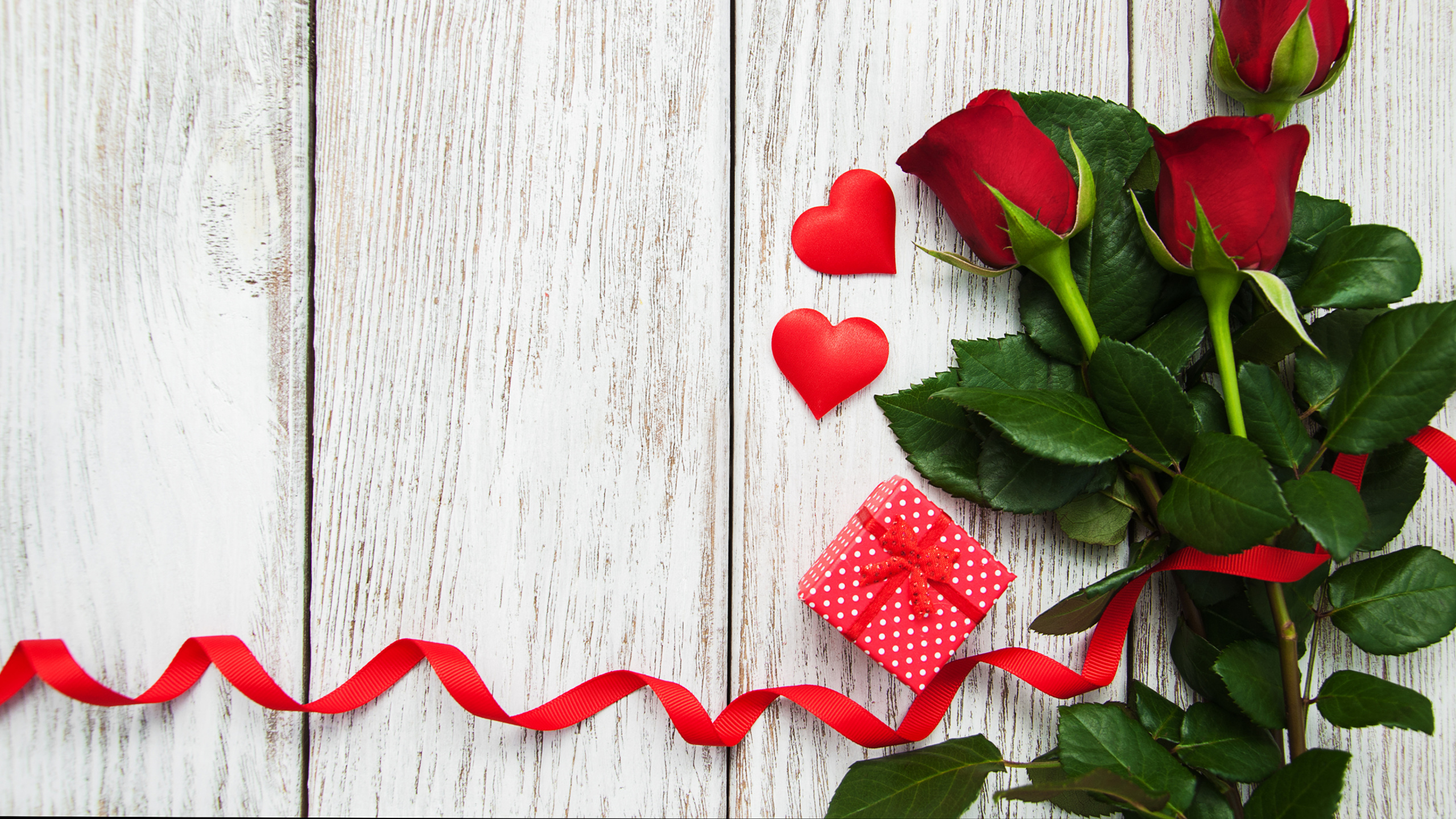 Red Rose on White Wooden Surface. Wallpaper in 2560x1440 Resolution