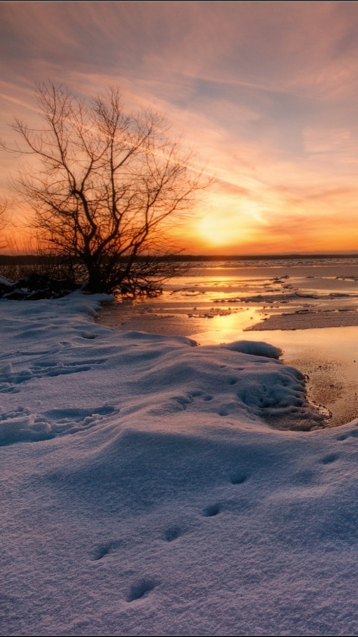 Gewässer in Der Nähe Von Bäumen Bei Sonnenuntergang. Wallpaper in 720x1280 Resolution