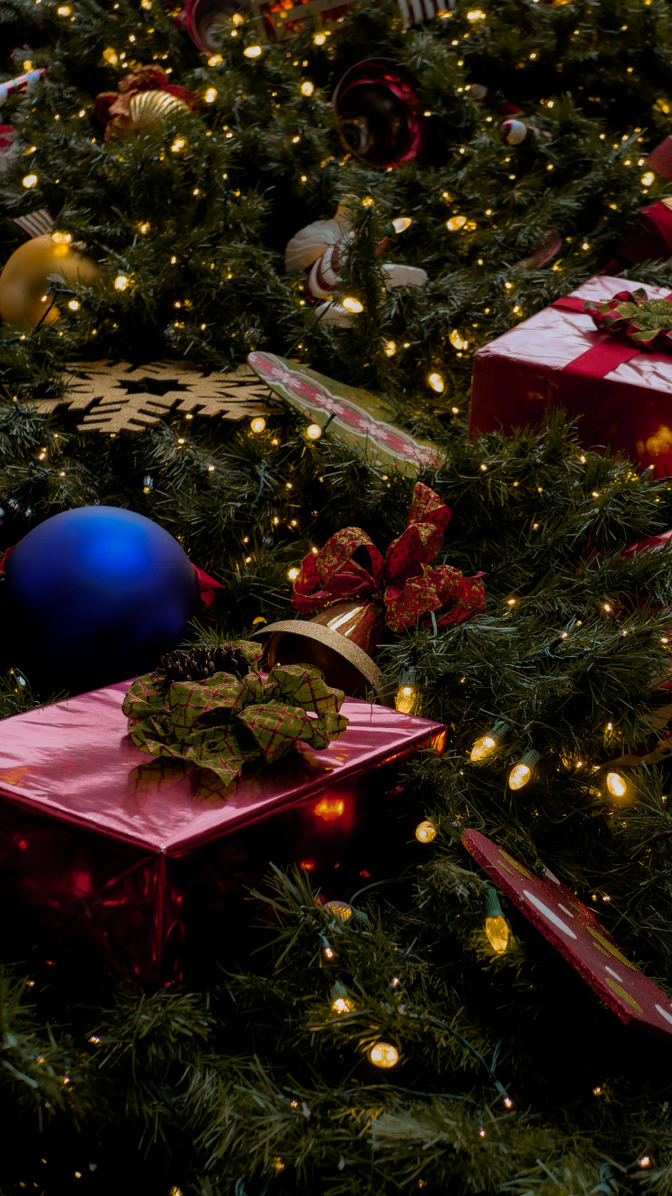 Christmas Day, Christmas Tree, Christmas Eve, Christmas Ornament, Christmas Decoration. Wallpaper in 750x1334 Resolution