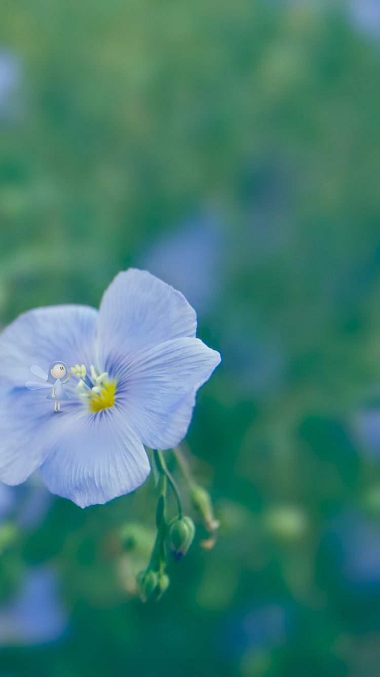Flor Azul en Lente de Cambio de Inclinación. Wallpaper in 750x1334 Resolution