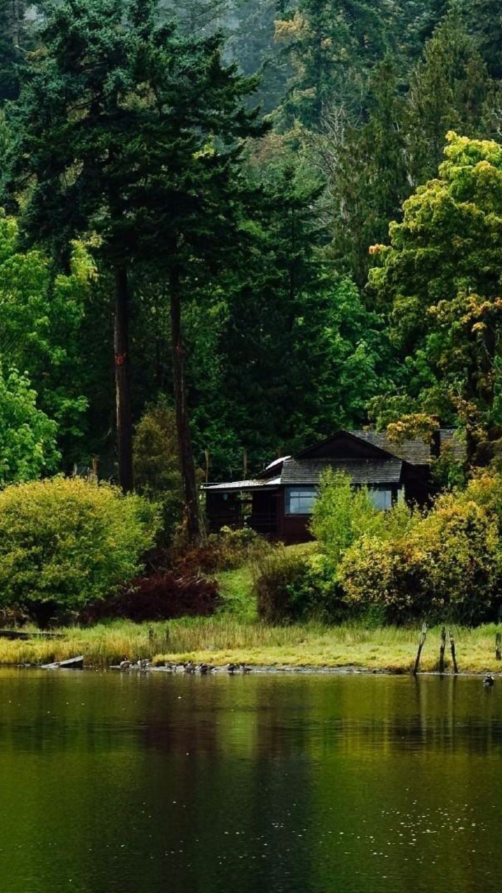Brown and White House Near Green Trees and Lake During Daytime. Wallpaper in 720x1280 Resolution