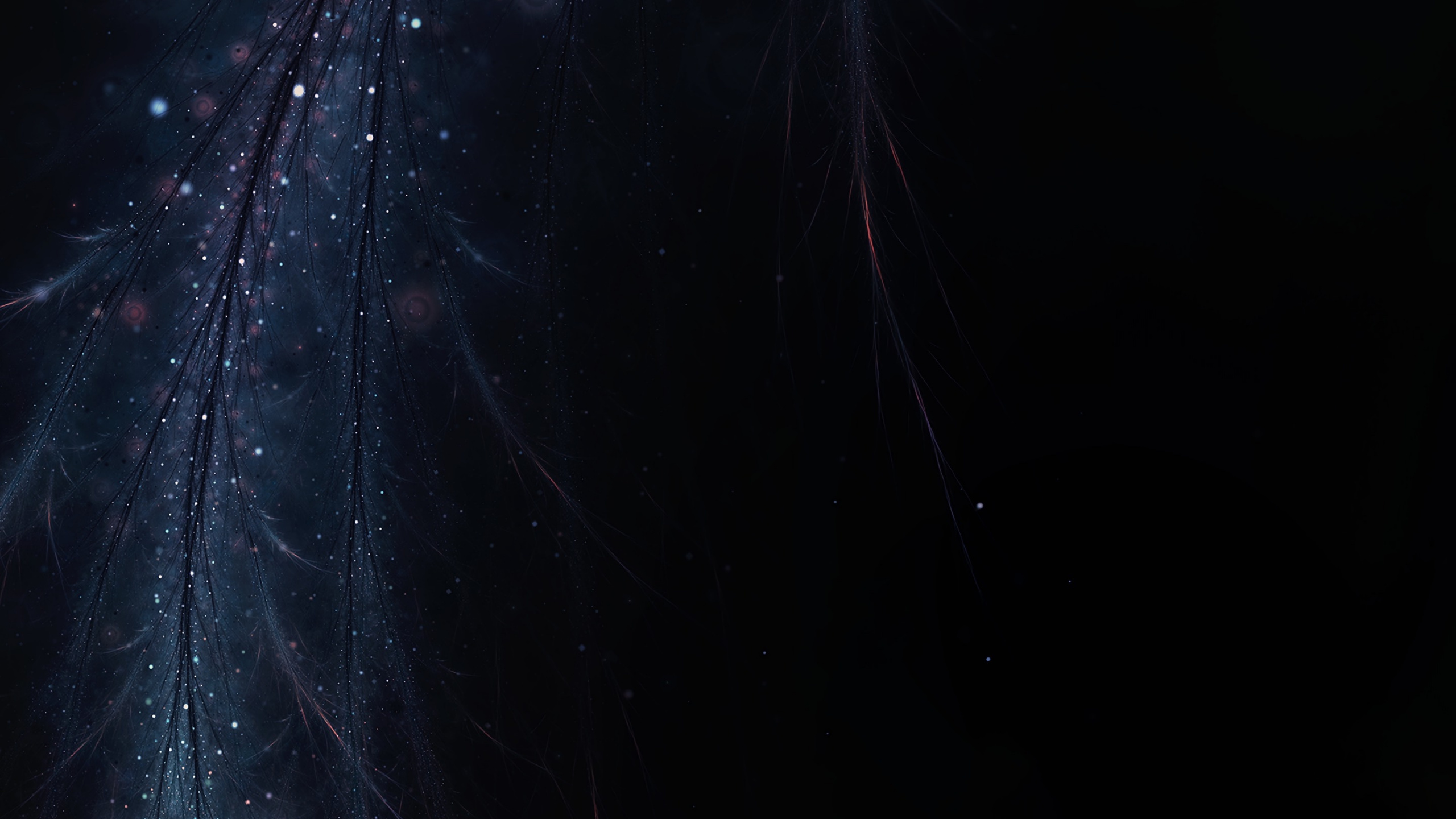 Black Textile on Brown Wooden Table. Wallpaper in 2560x1440 Resolution