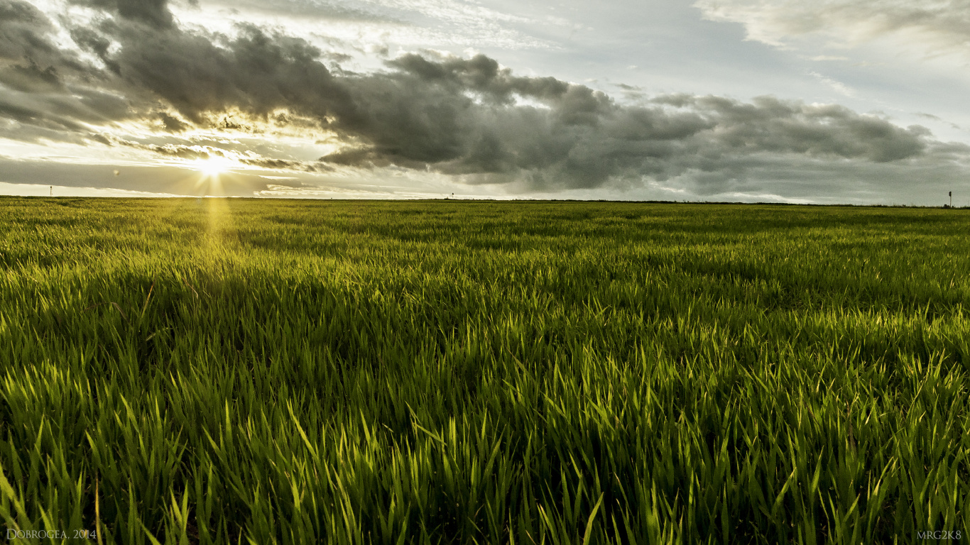 Green Grass Field Under Cloudy Sky During Daytime. Wallpaper in 1366x768 Resolution
