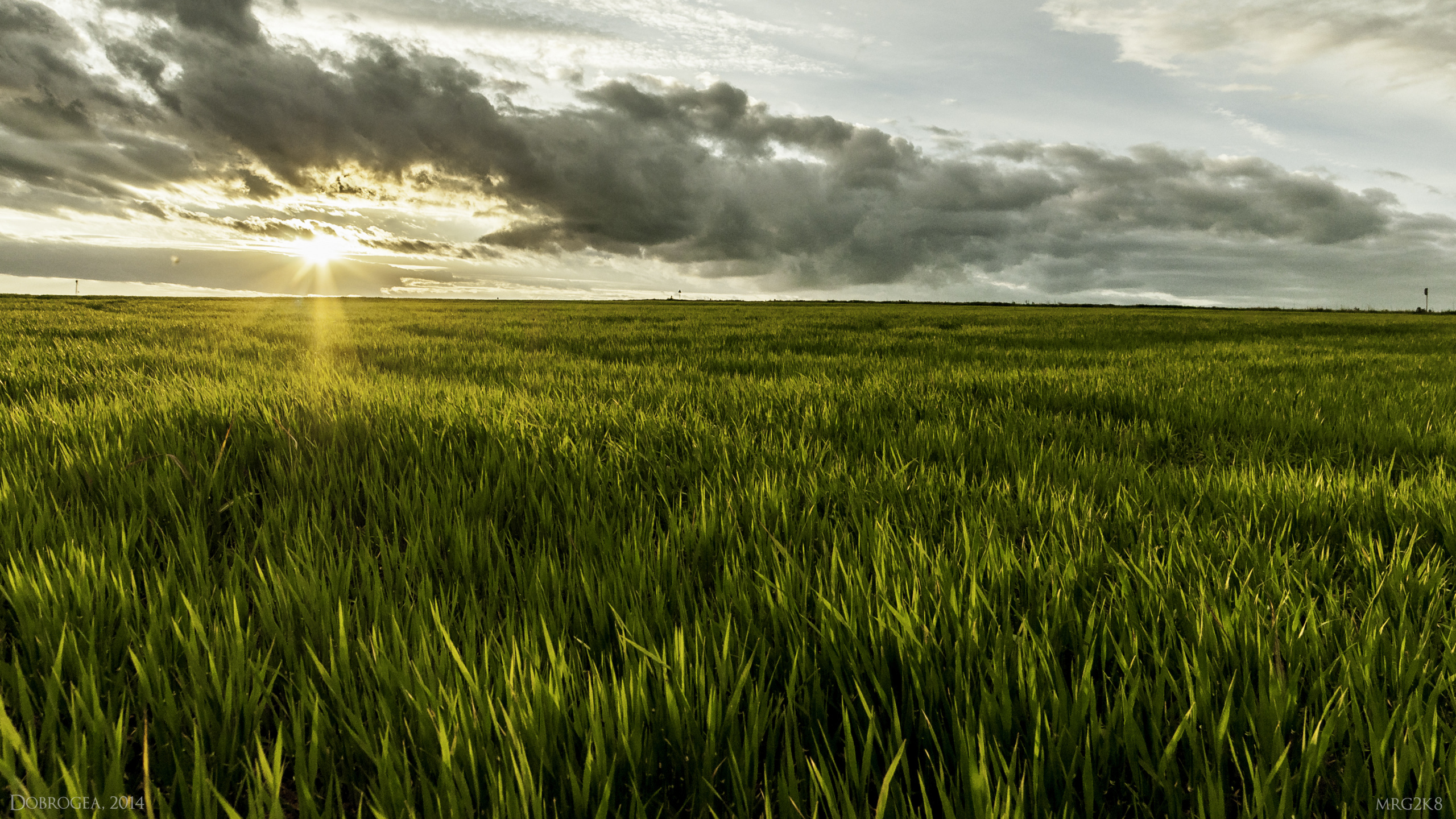 Green Grass Field Under Cloudy Sky During Daytime. Wallpaper in 2560x1440 Resolution