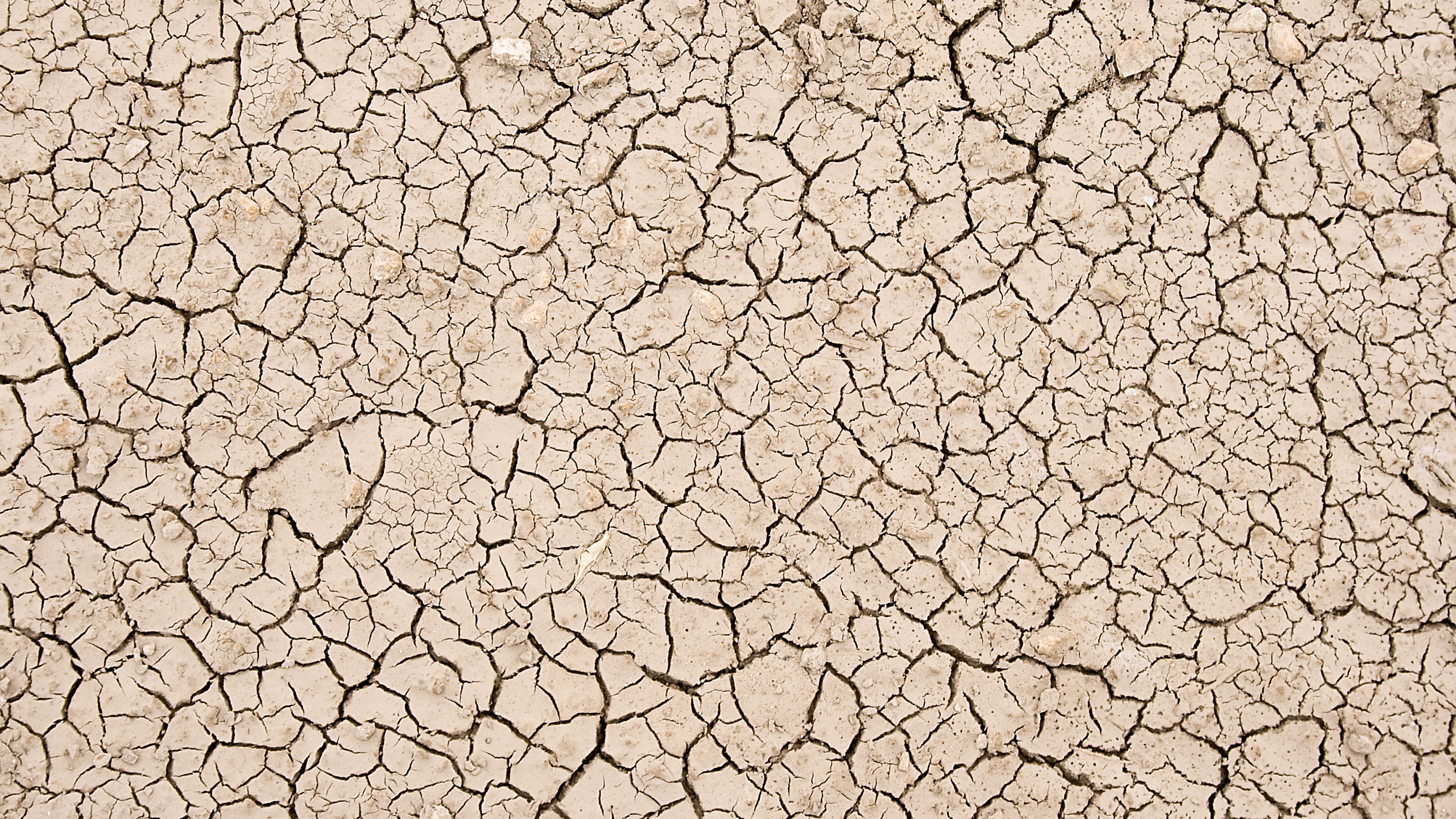 纹理, 艺术, 的土壤, 干旱, 草 壁纸 2560x1440 允许