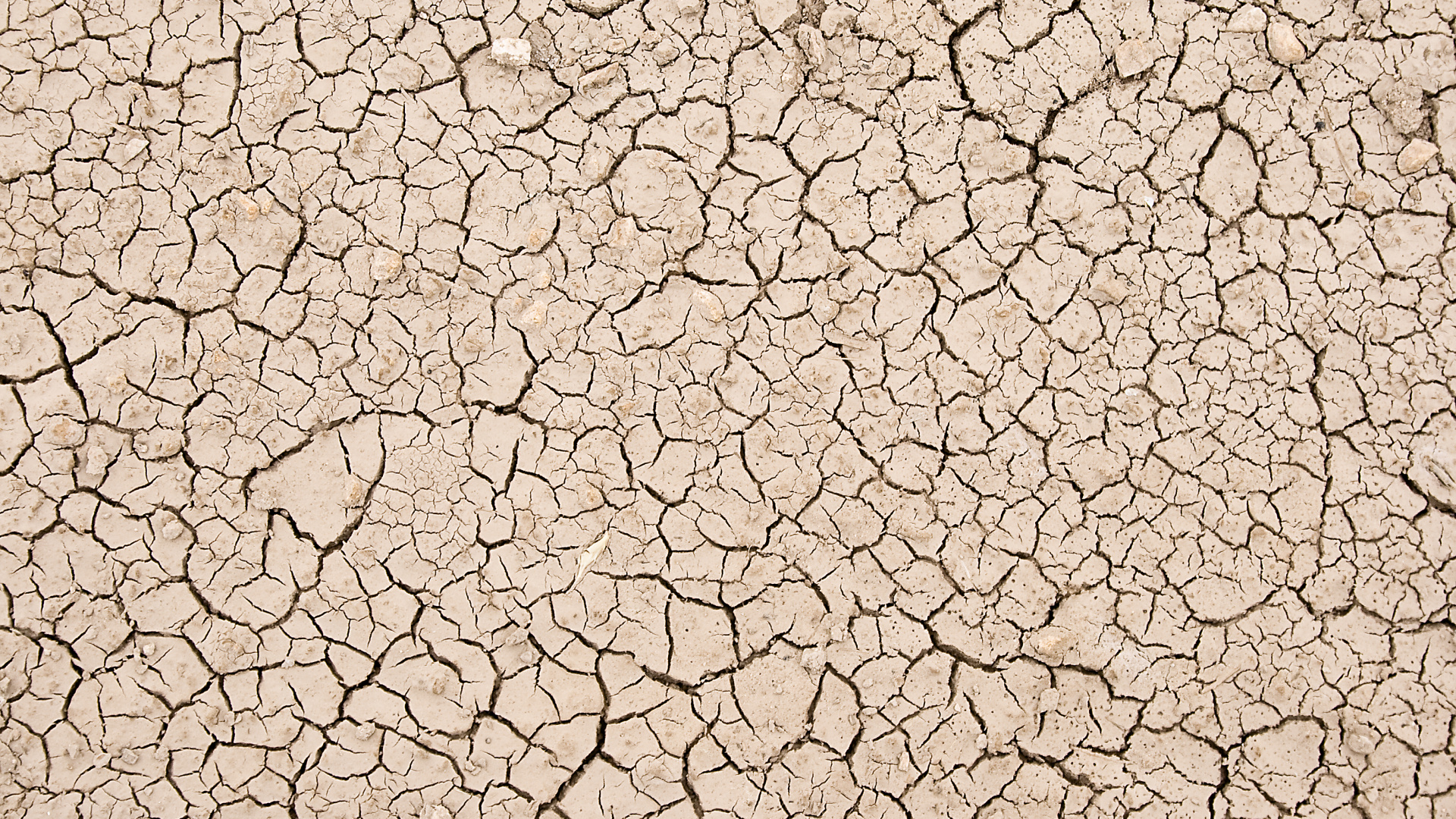 Brauner Und Weißer Betonboden. Wallpaper in 1920x1080 Resolution