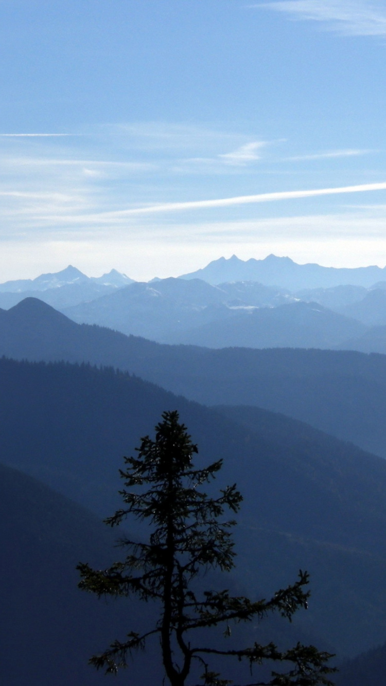 Tagsüber Grüne Bäume Auf Dem Berg. Wallpaper in 750x1334 Resolution