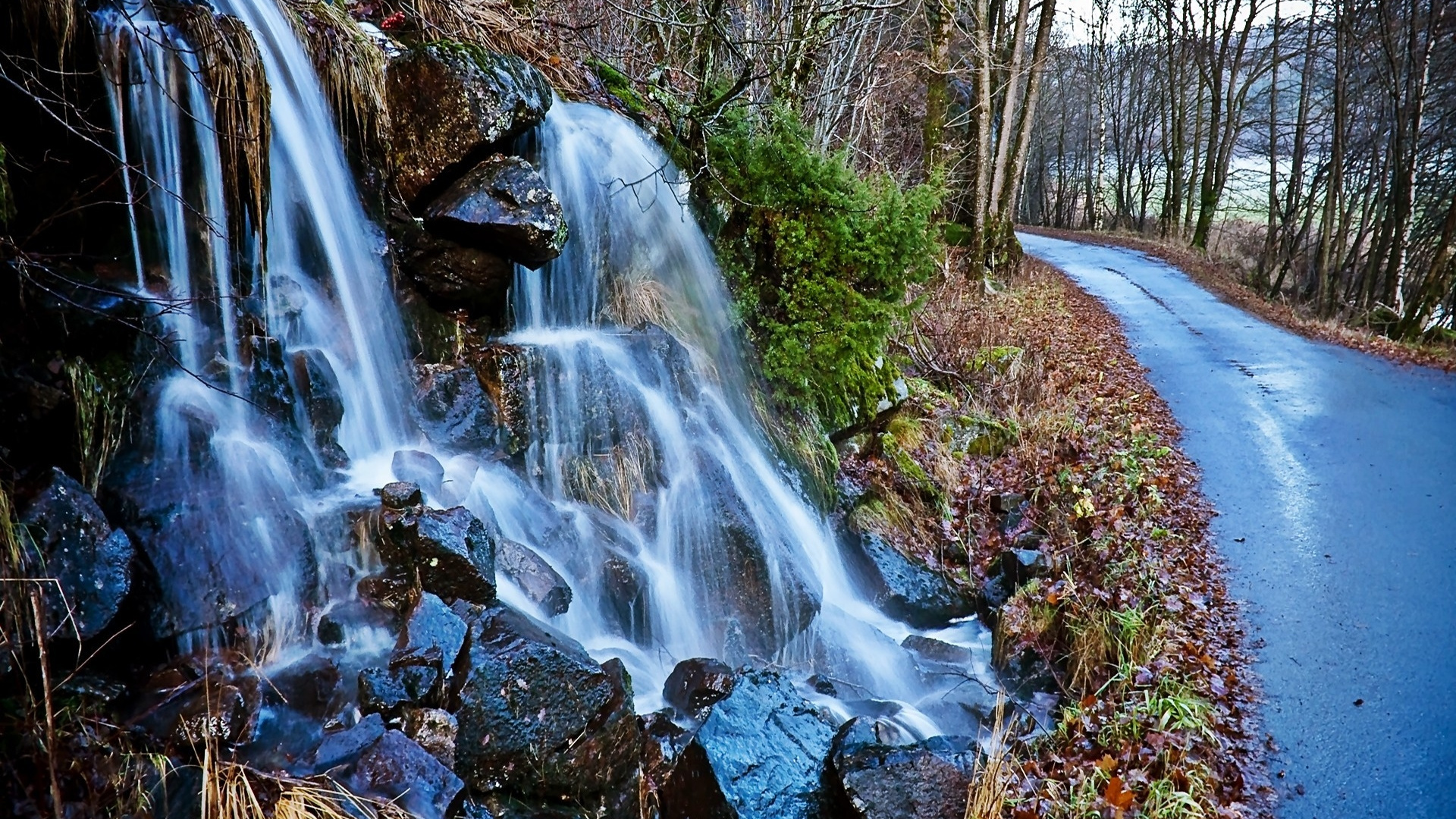 L'eau Tombe au Milieu de la Forêt. Wallpaper in 1920x1080 Resolution
