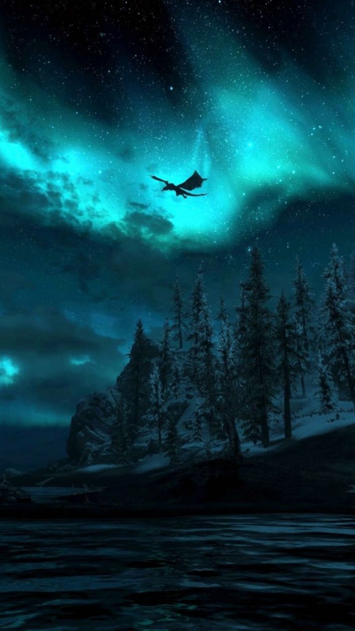 龙, 性质, 奥罗拉, 空间, 气氛 壁纸 720x1280 允许