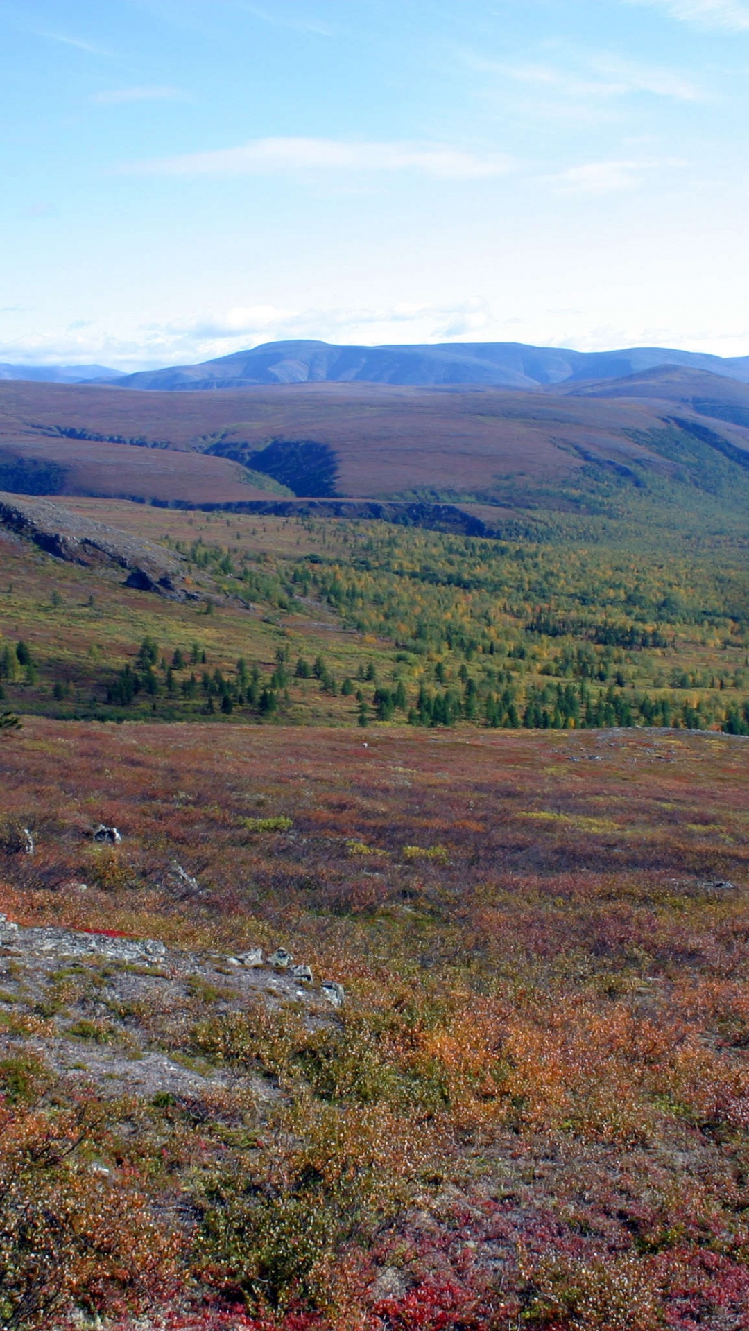 Champ D'herbe Verte Près de la Montagne Sous un Ciel Bleu Pendant la Journée. Wallpaper in 1080x1920 Resolution