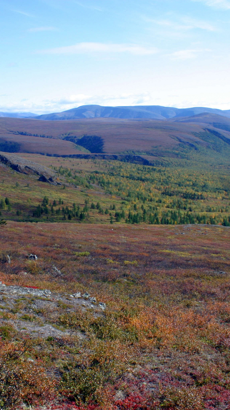 Campo de Hierba Verde Cerca de la Montaña Bajo un Cielo Azul Durante el Día. Wallpaper in 750x1334 Resolution