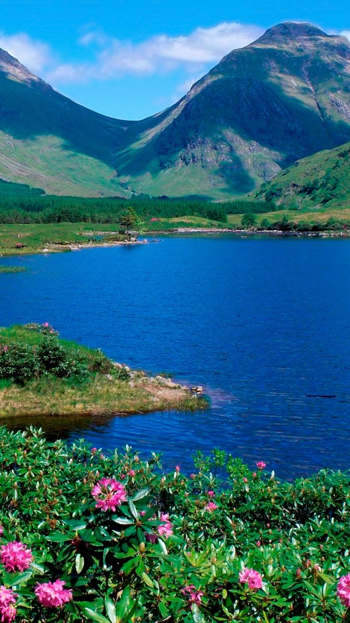 Green and Brown Mountain Beside Body of Water During Daytime. Wallpaper in 720x1280 Resolution