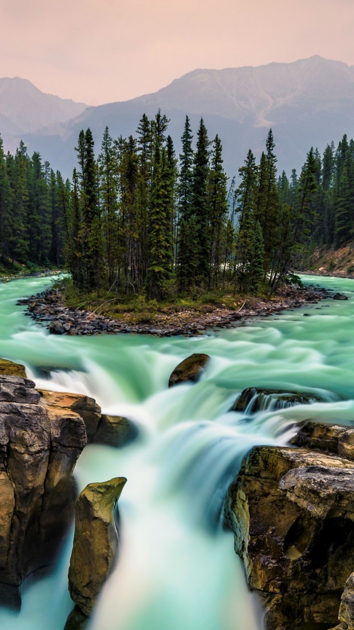 Green Pine Trees Beside River During Daytime. Wallpaper in 720x1280 Resolution
